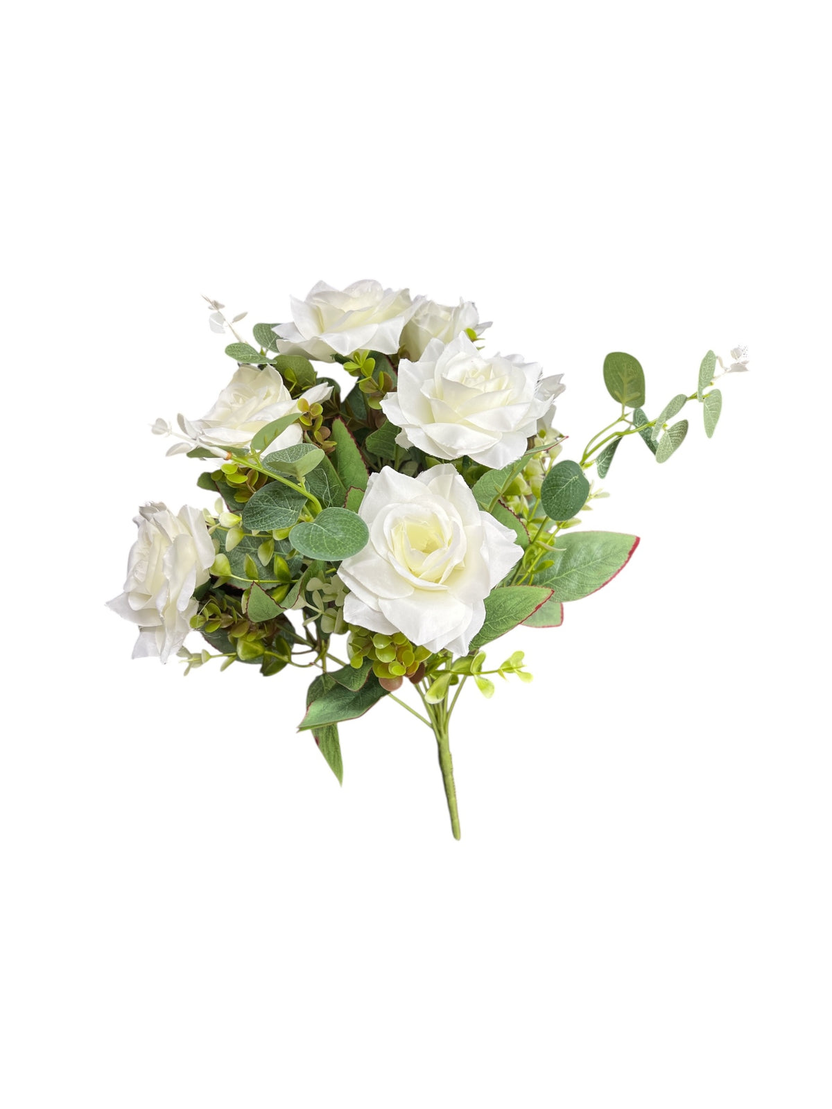 Photoroom_20250722_131526