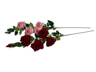 Photoroom_20250609_111730 Mică