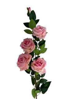 Photoroom_20250609_111814 Mică