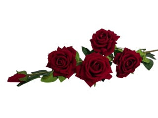 Photoroom_20250609_111904 Mică