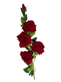 Photoroom_20250609_111940 Mică