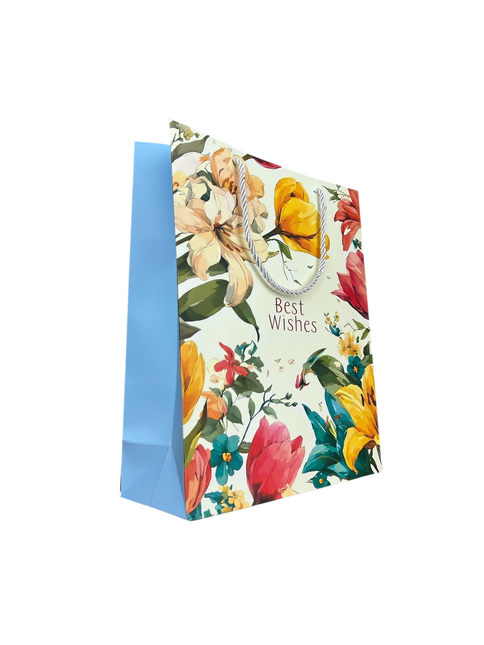 Photoroom_20250613_141345