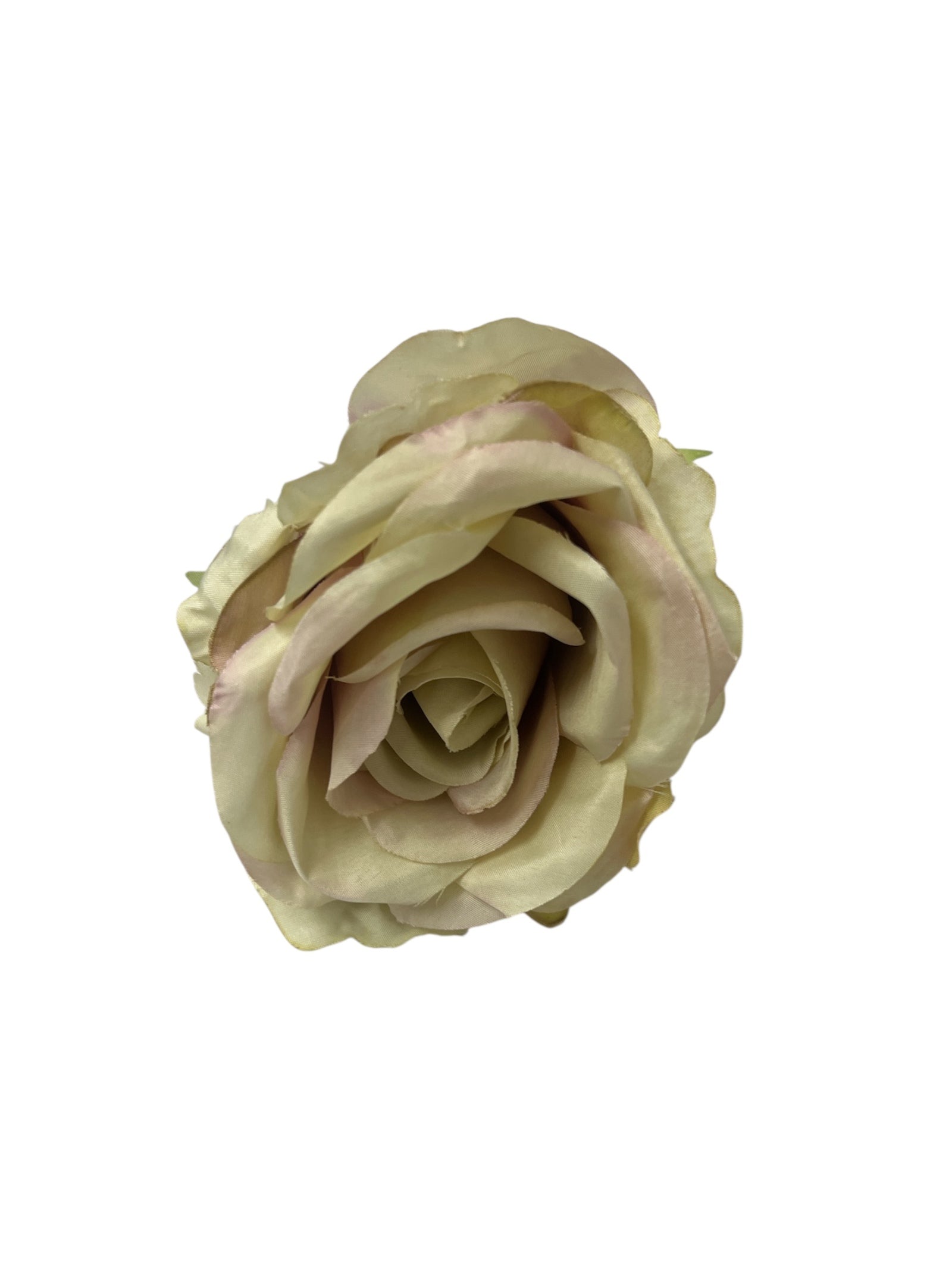 Photoroom_20250623_142027