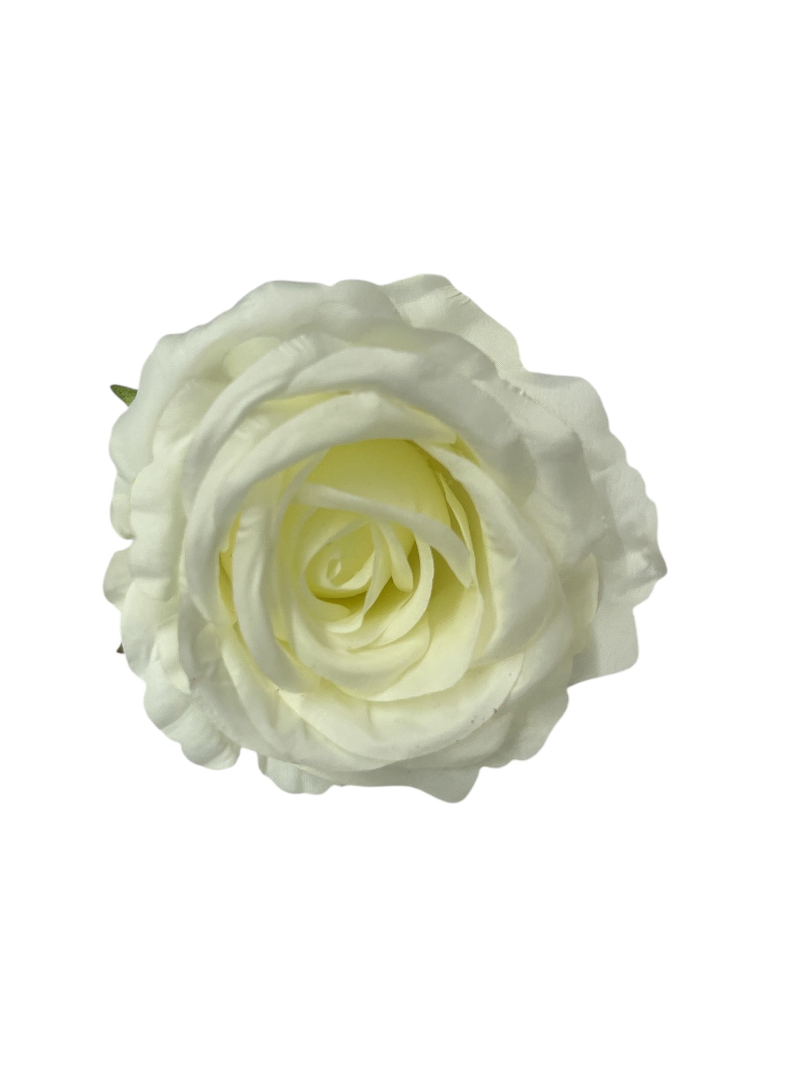 Photoroom_20250623_142043