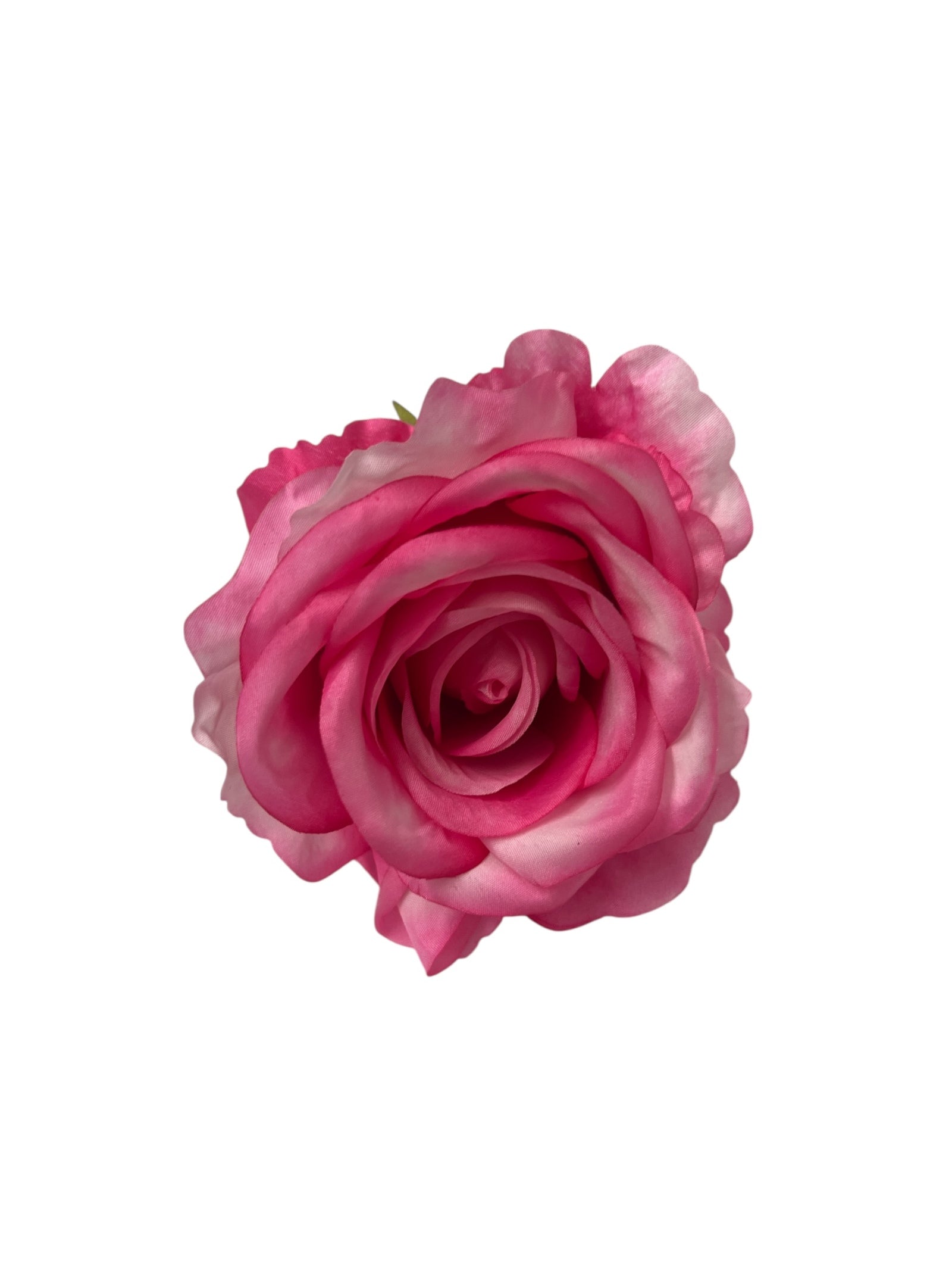 Photoroom_20250623_142120