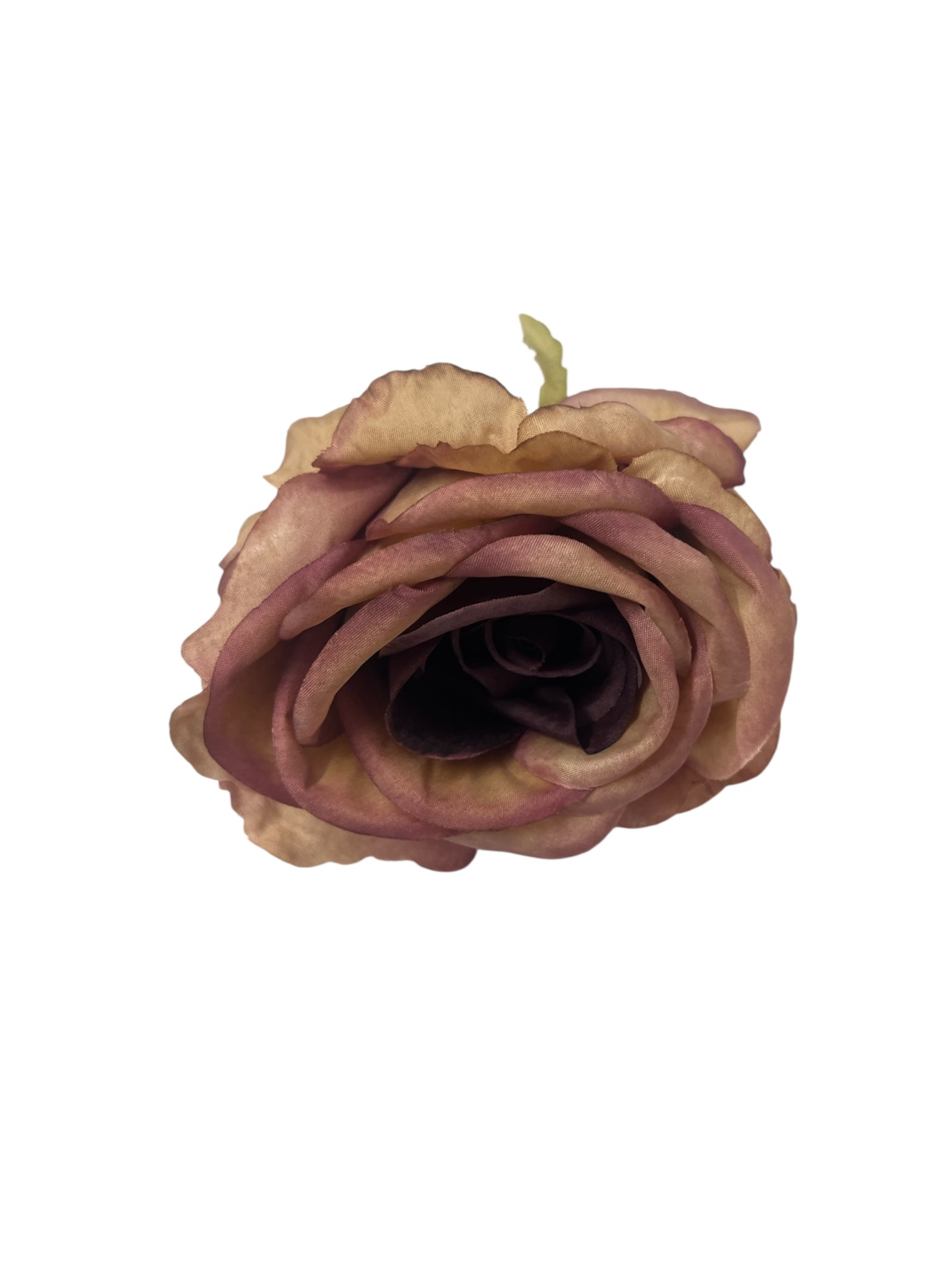 Photoroom_20250623_142206