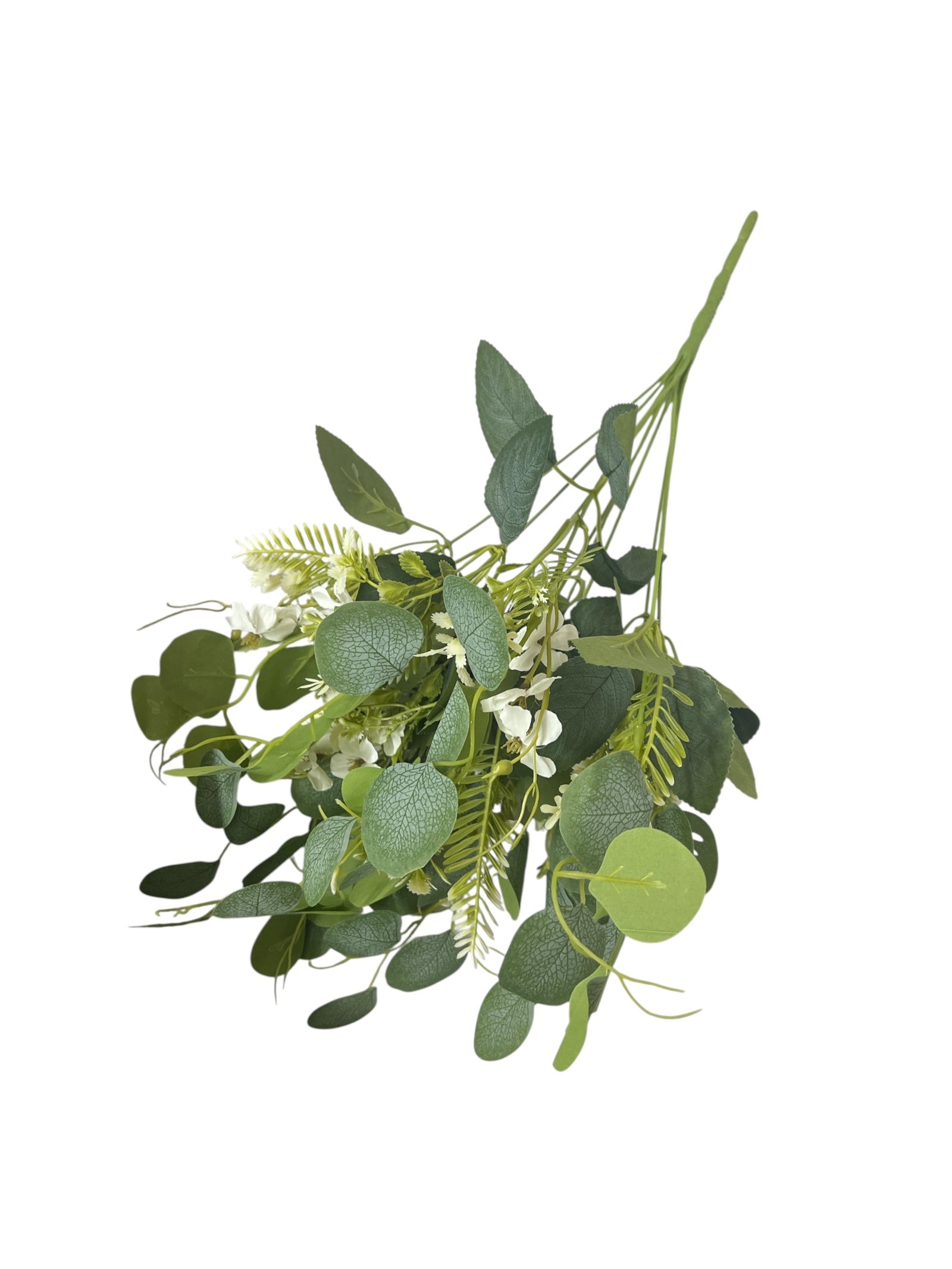 Photoroom_20250623_144459