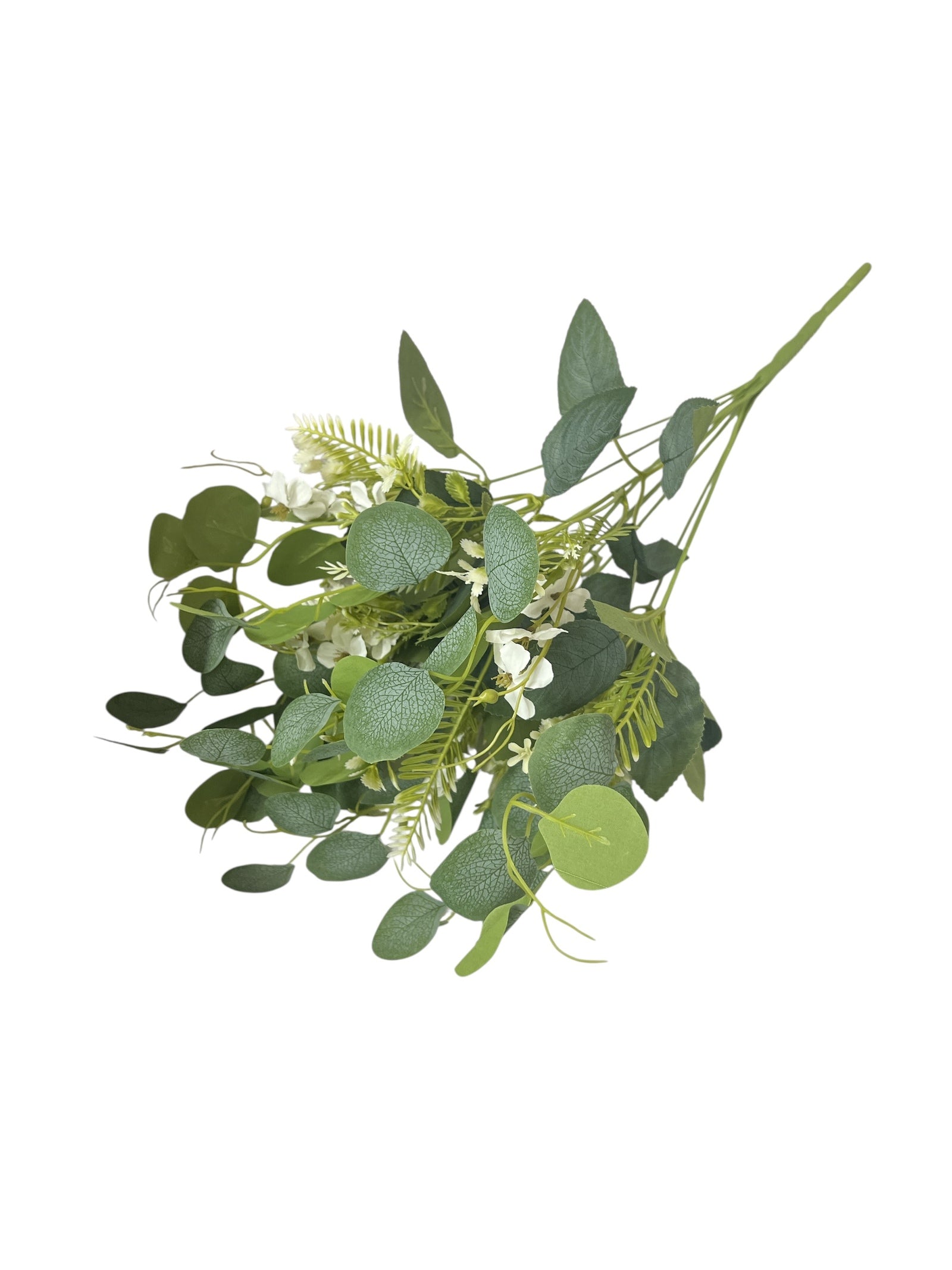 Photoroom_20250623_144531