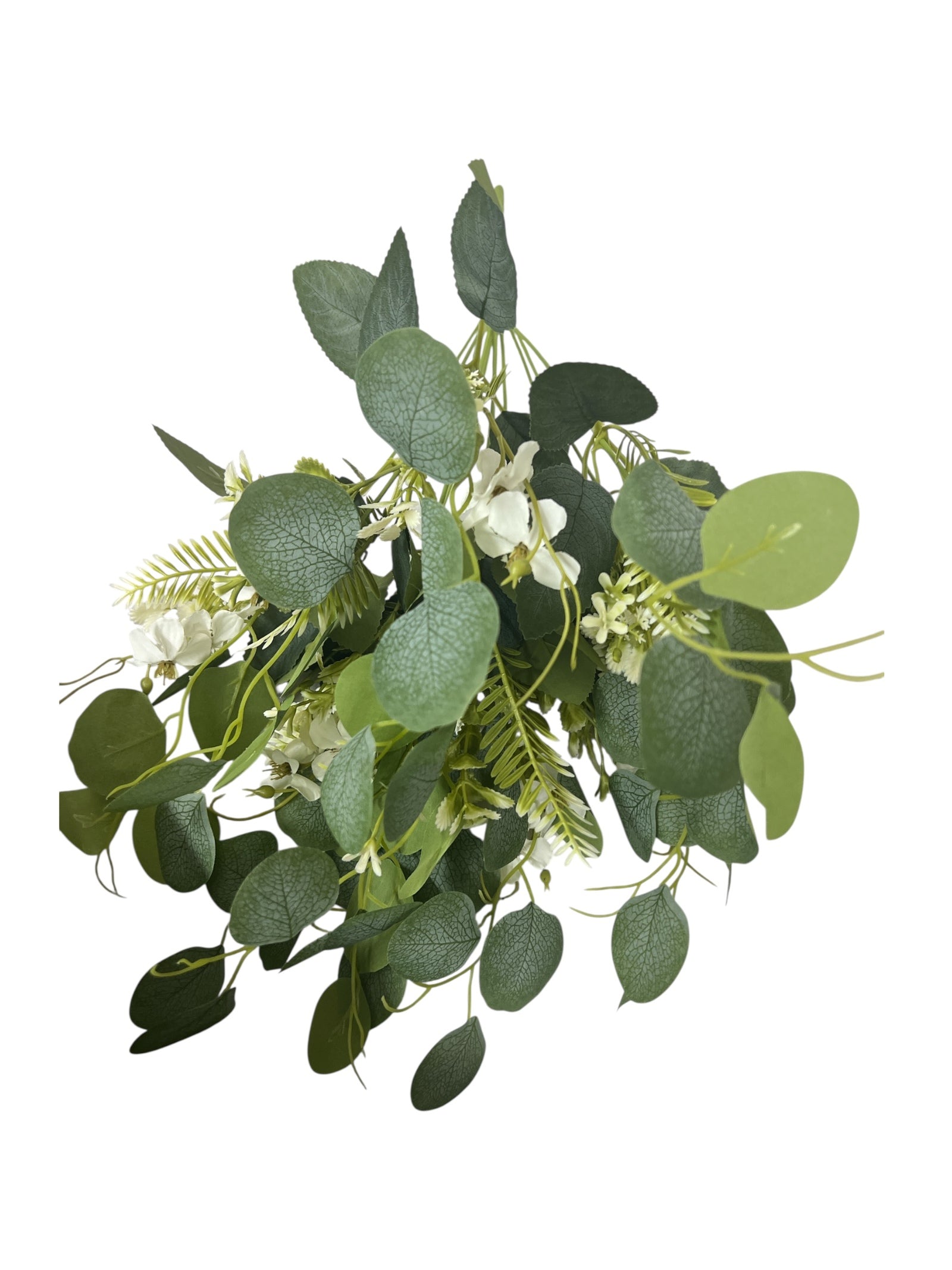 Photoroom_20250623_144611