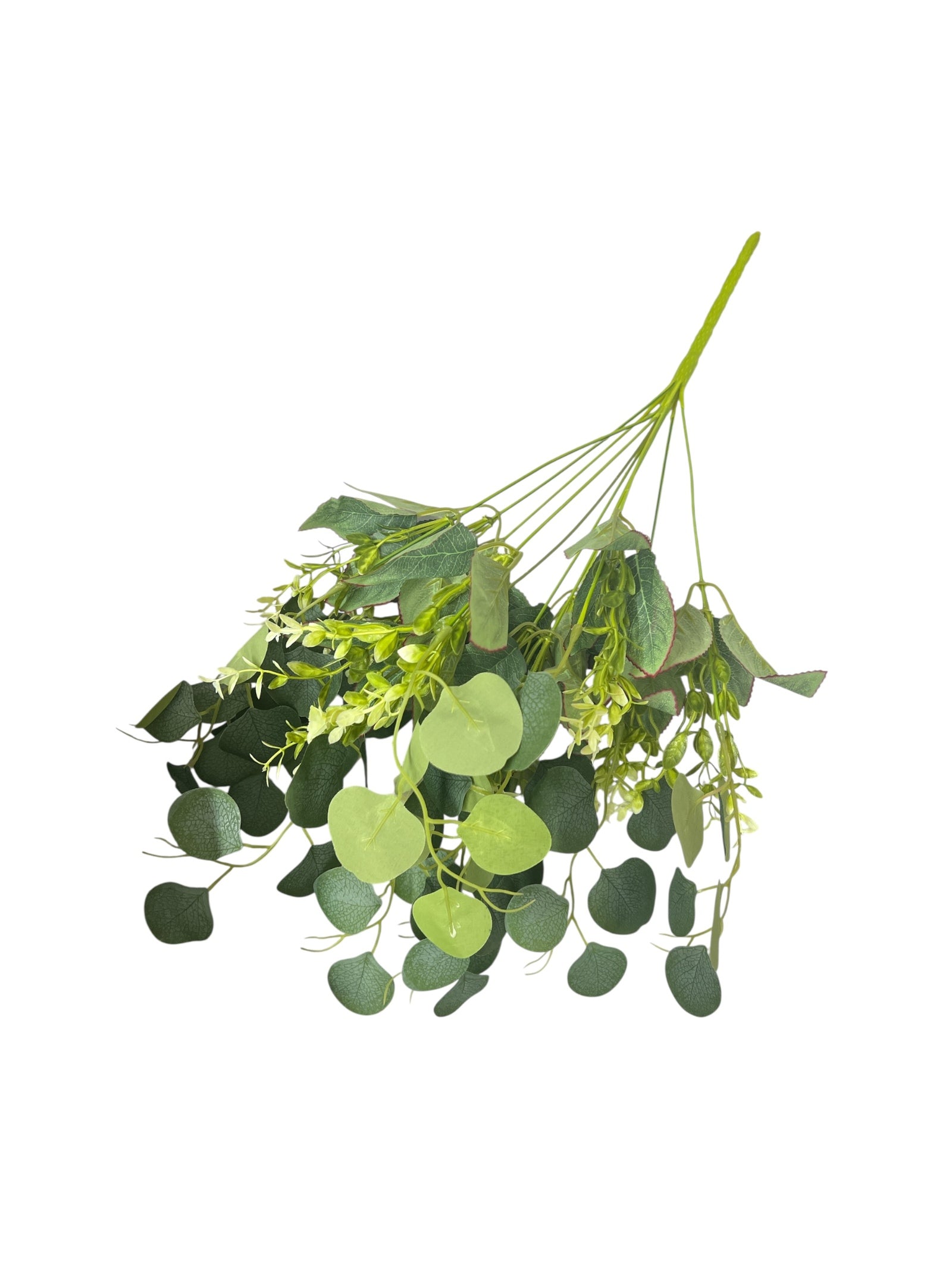 Photoroom_20250623_144726