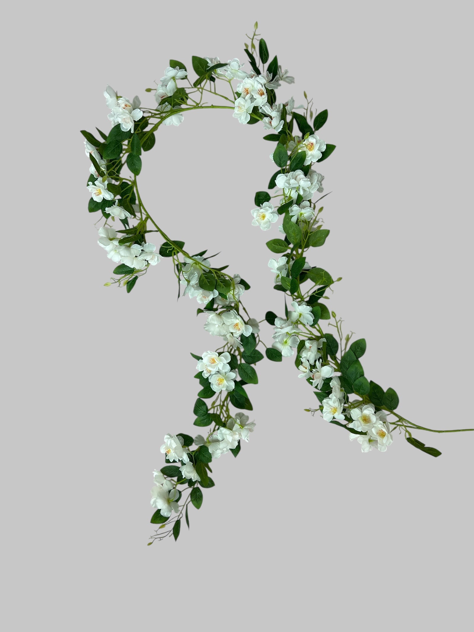 Photoroom_20250624_142044