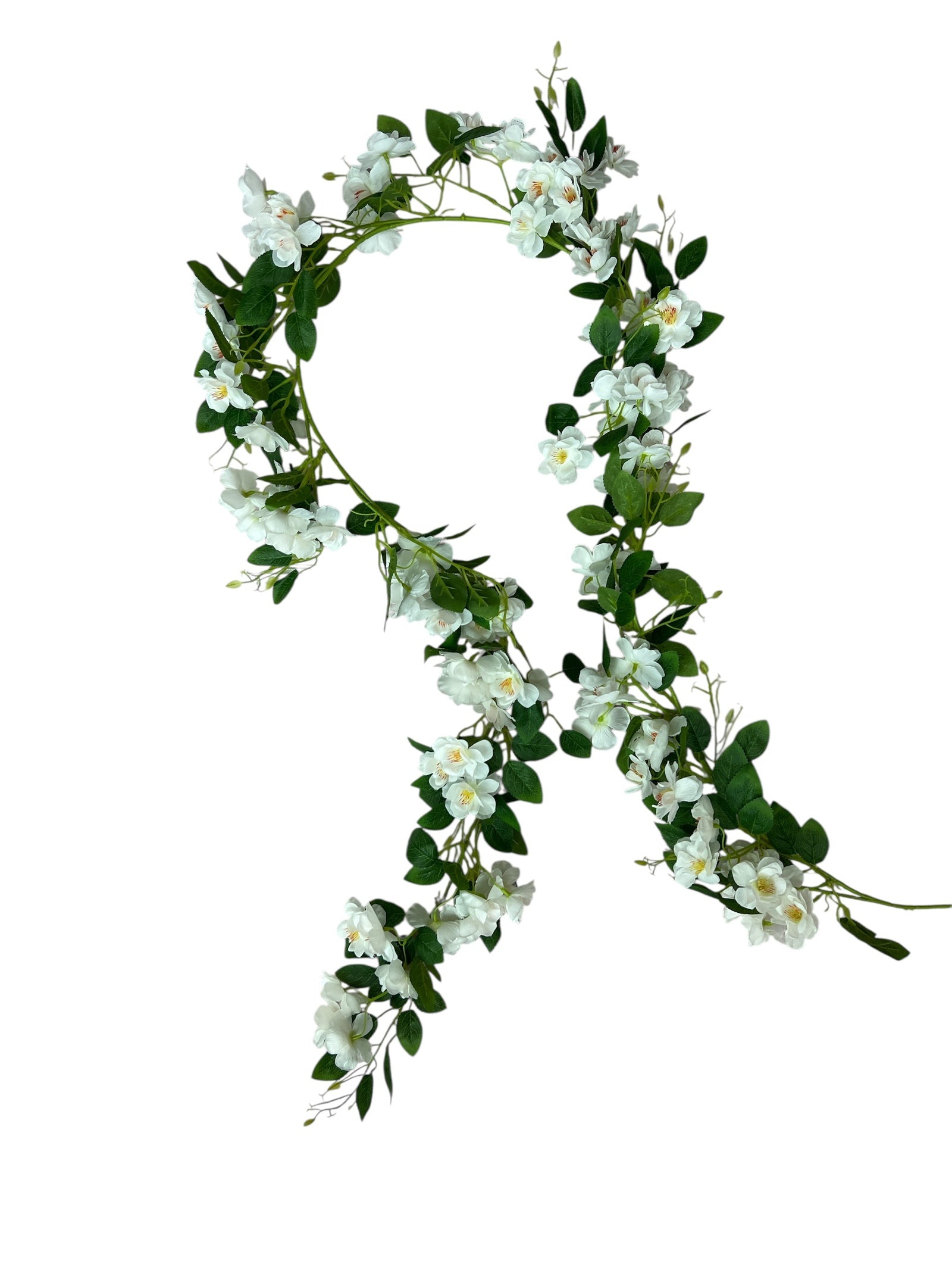 Photoroom_20250624_142126