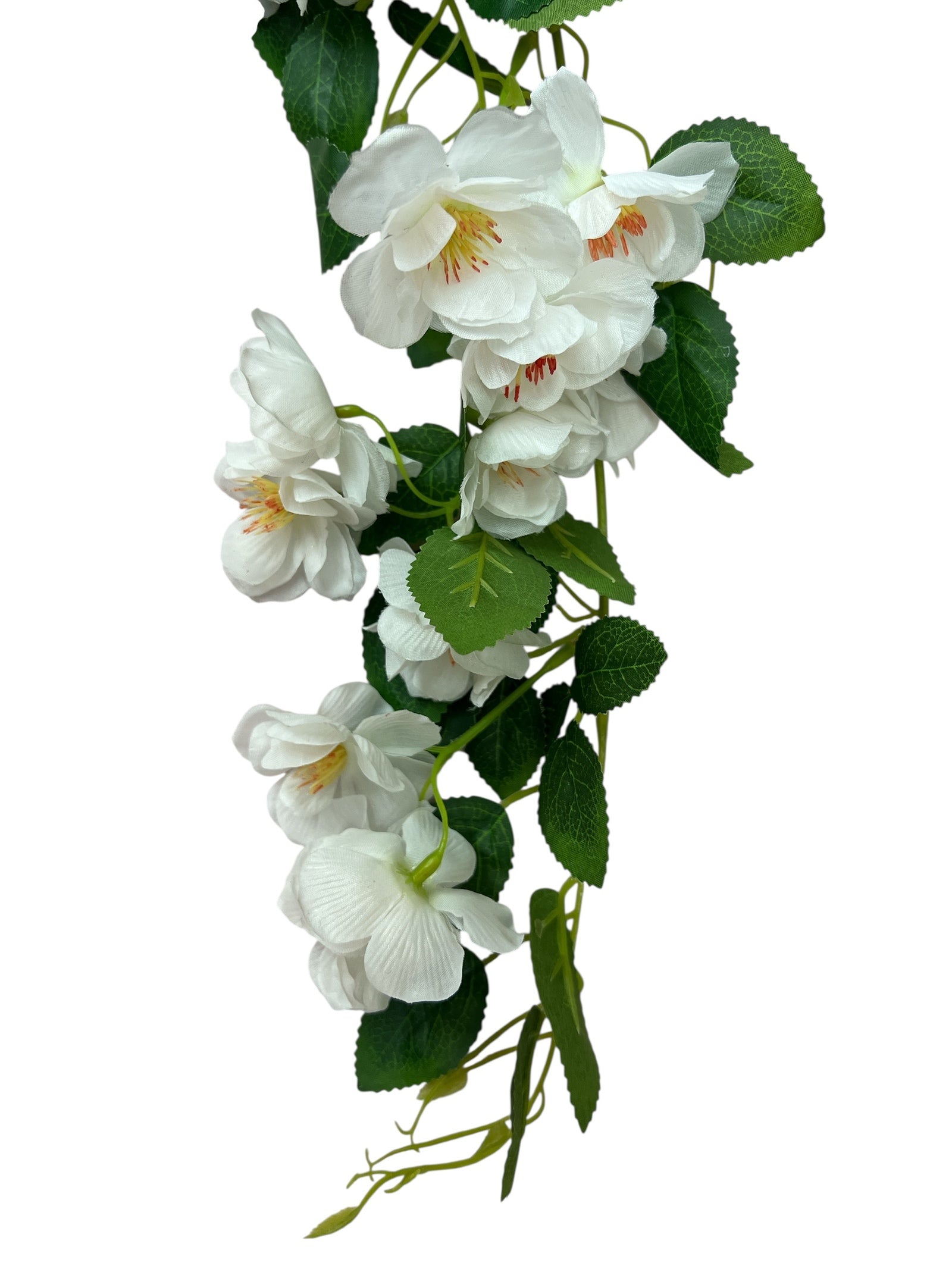 Photoroom_20250624_142251