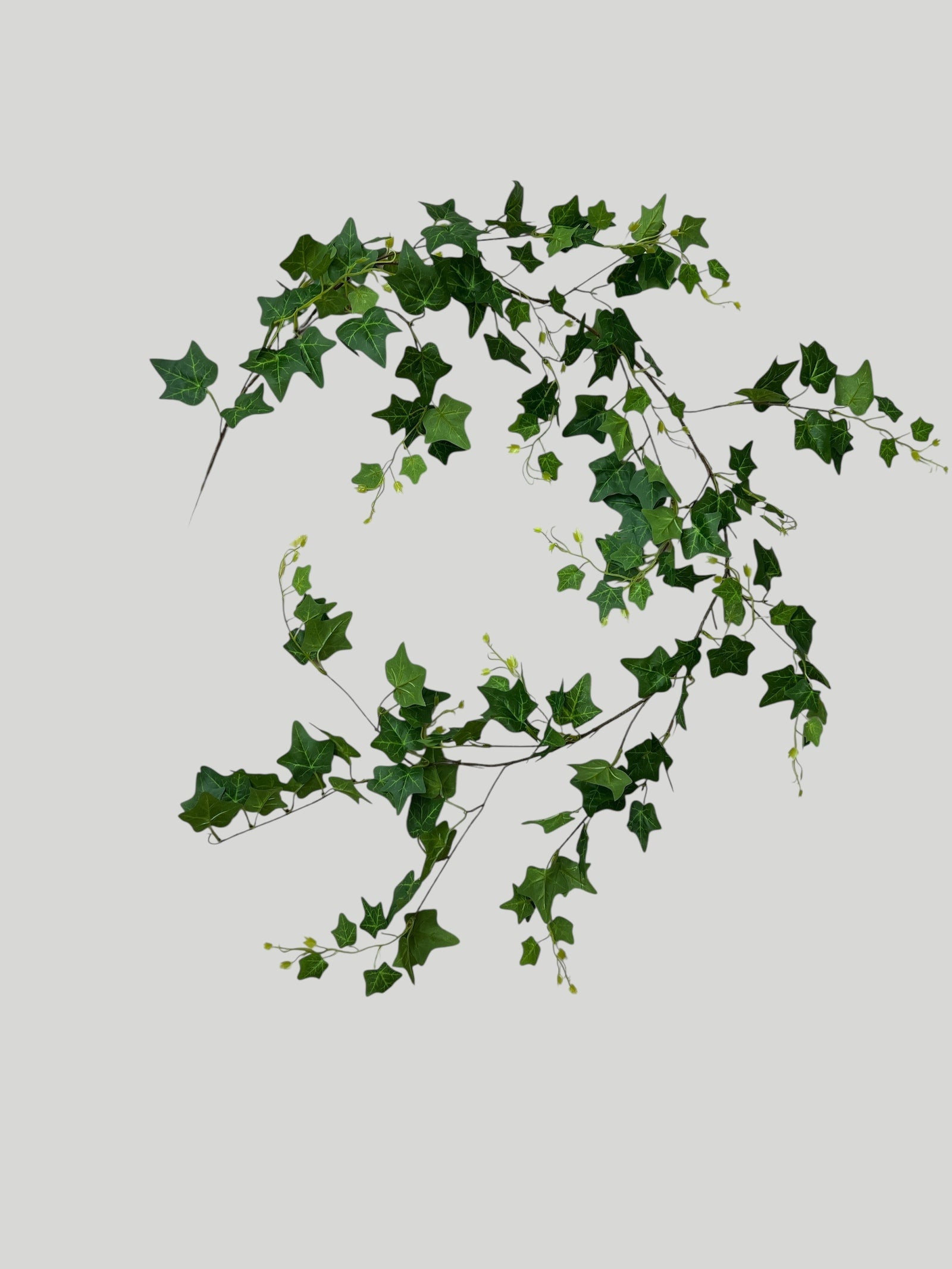 Photoroom_20250624_141859