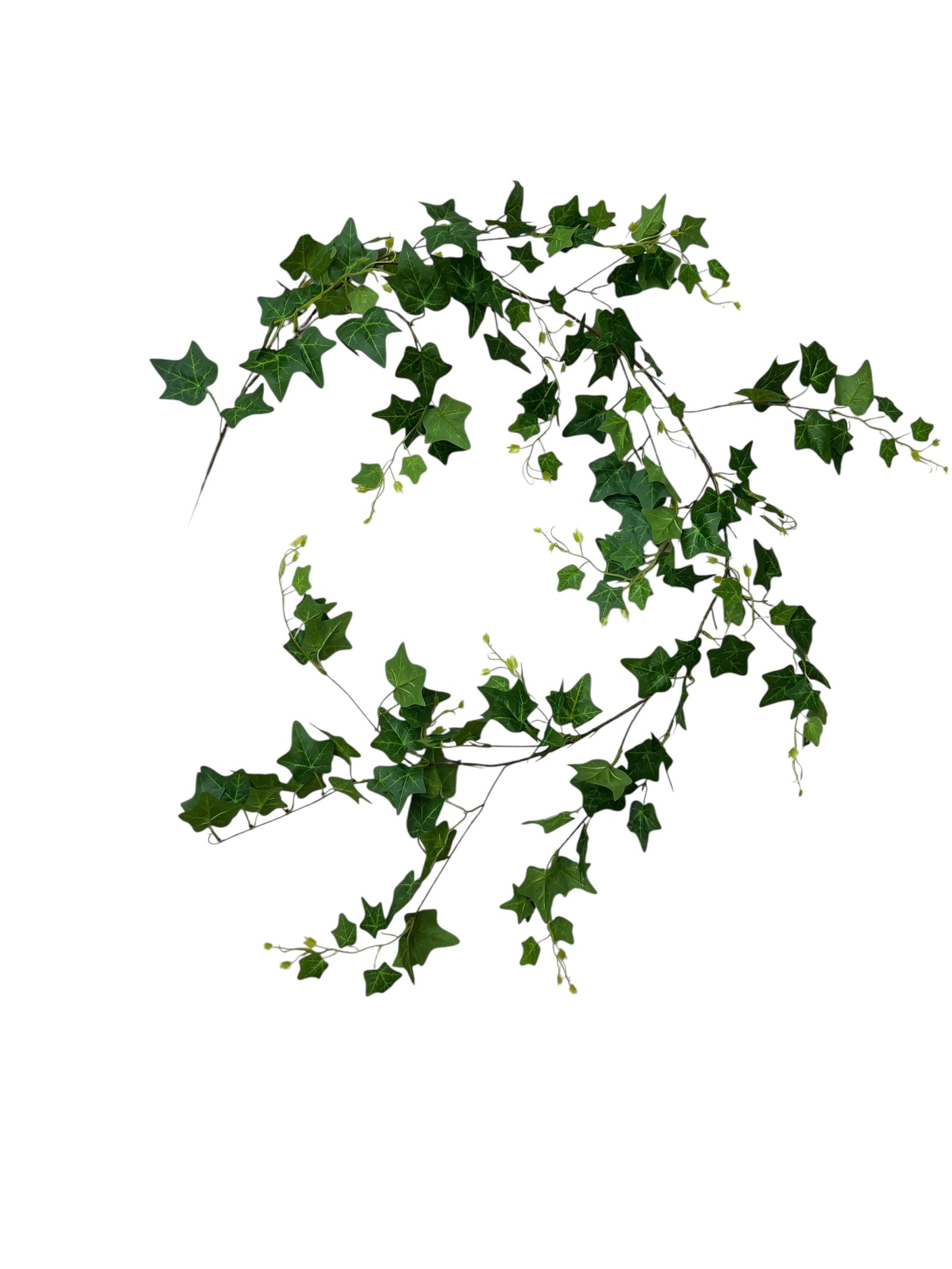 Photoroom_20250624_142142