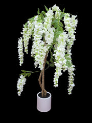 IMG_7999716334278087156