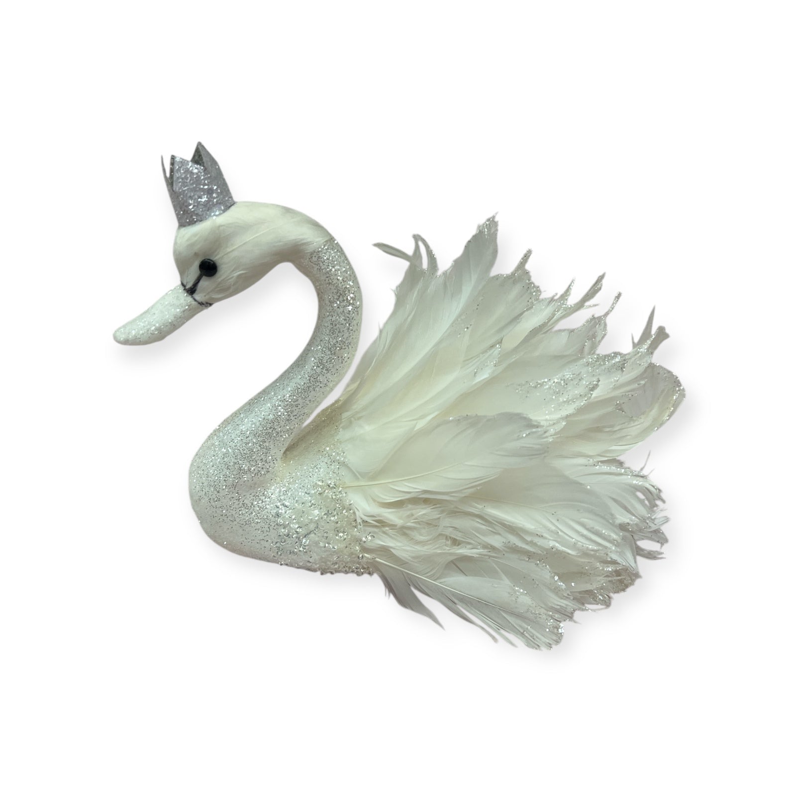 Photoroom_20250919_101435