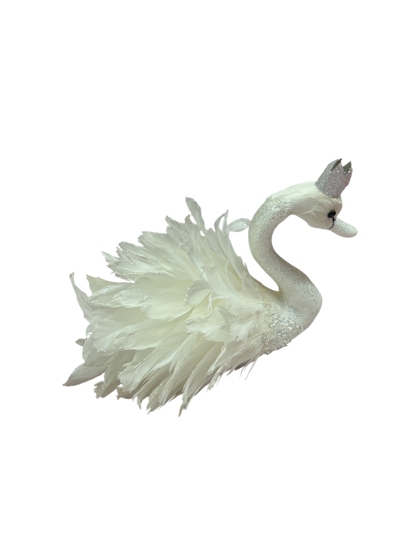 Photoroom_20250919_101604