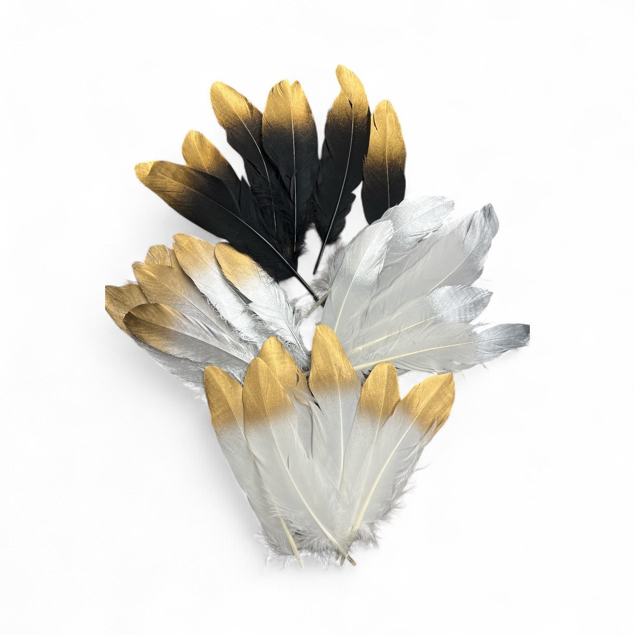 Photoroom_20250925_150530