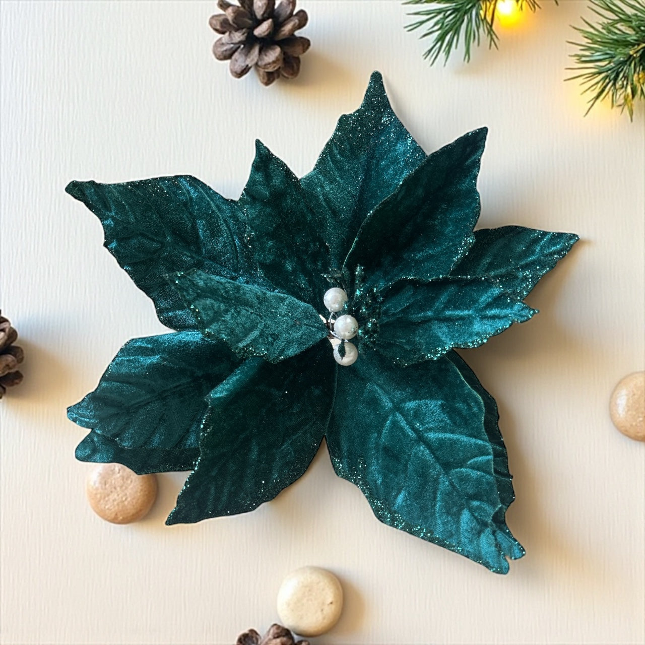 Photoroom_20250925_152843 2