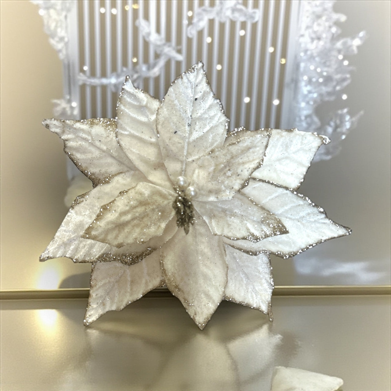 Photoroom_20250925_152708 2