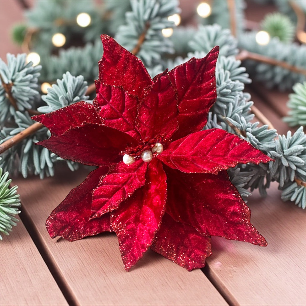 Photoroom_20250925_152807 2