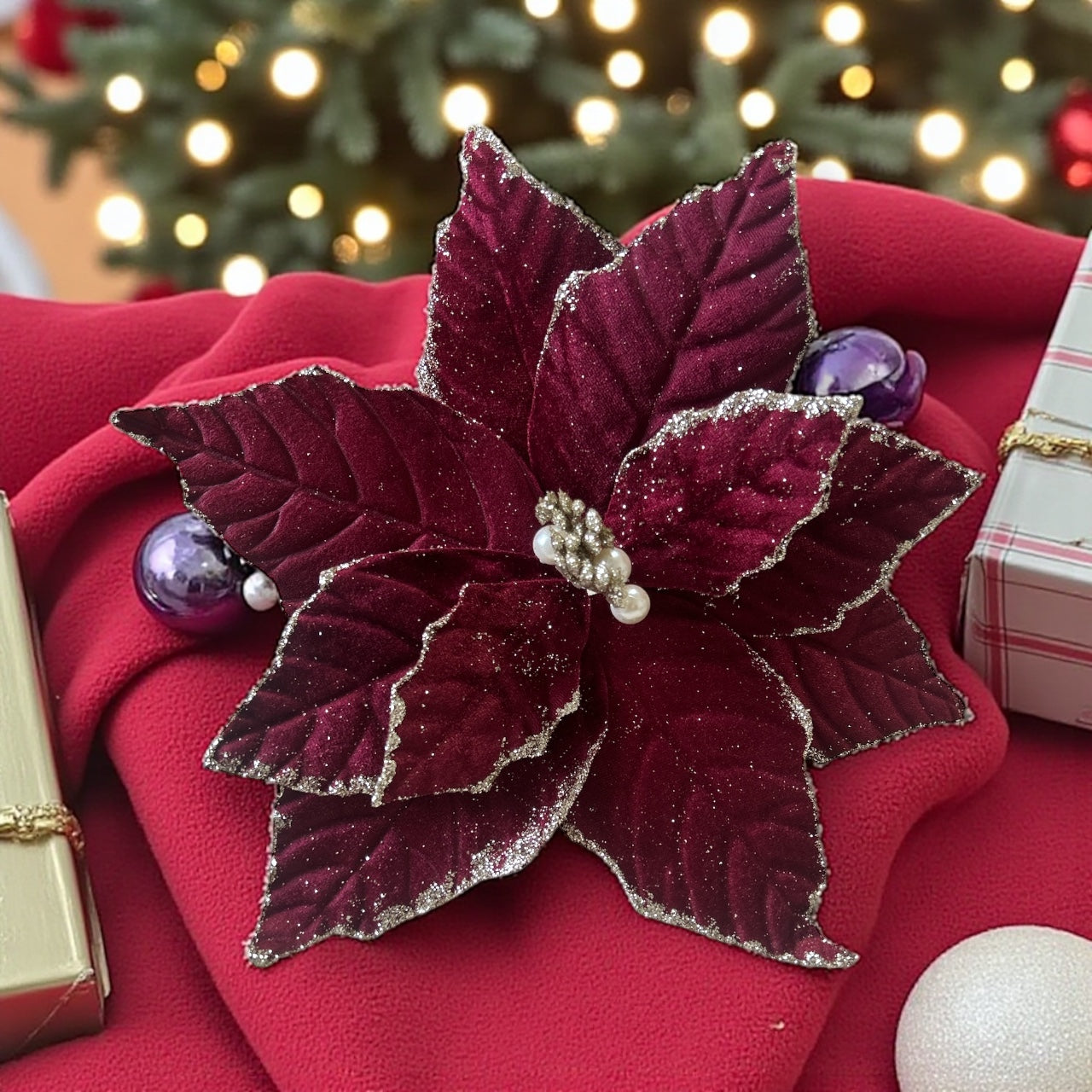 Photoroom_20250925_152532 2