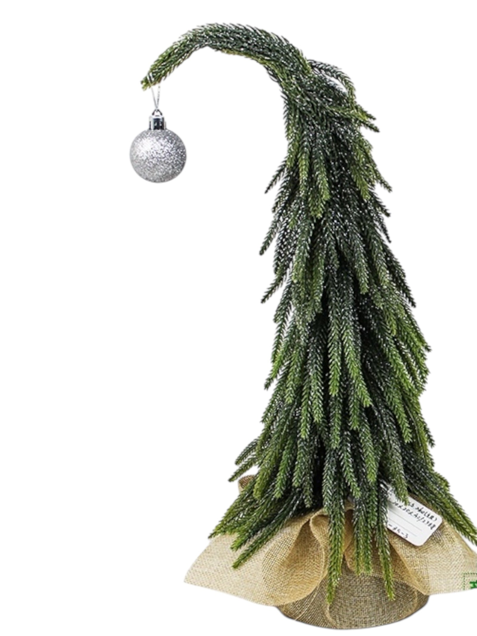 Photoroom_002_20251009_134644