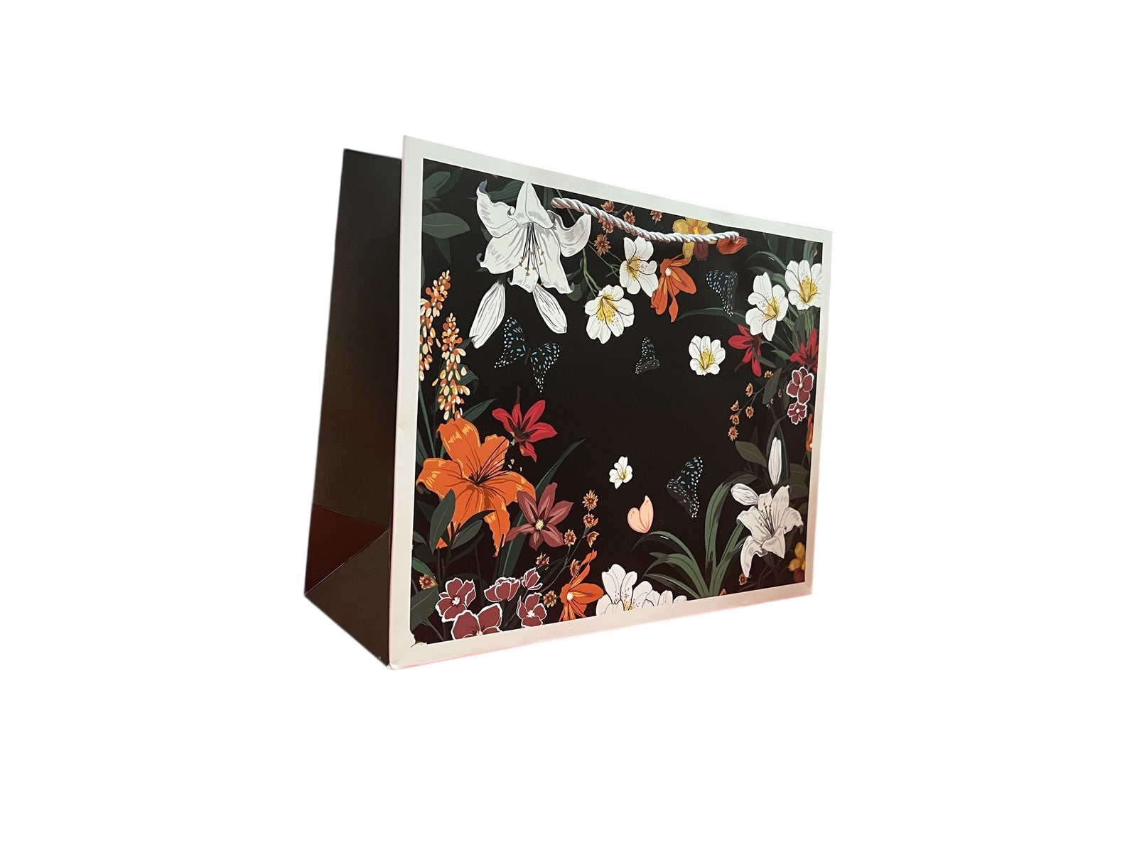 Photoroom_003_20251013_152523