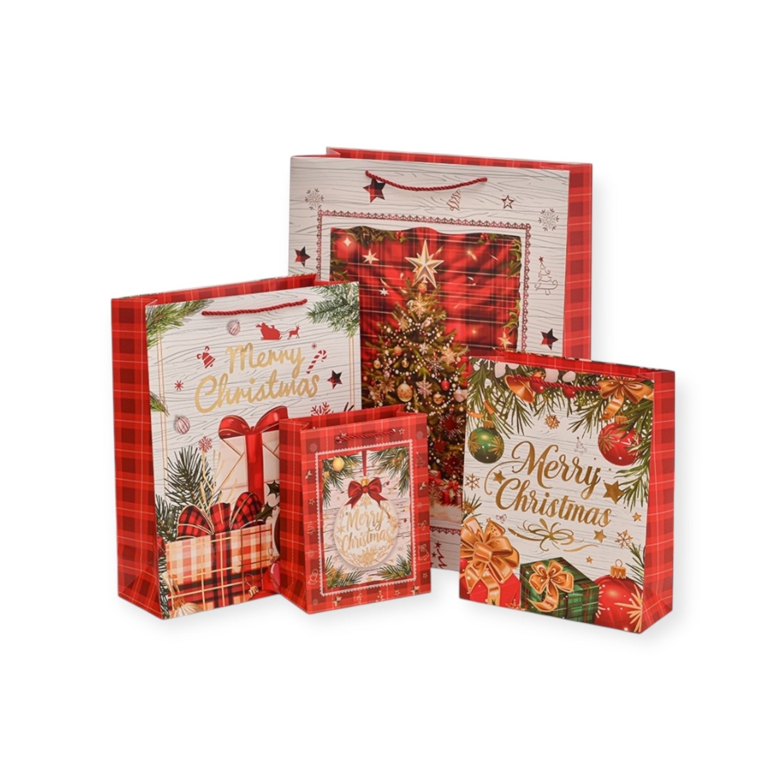 Photoroom_20251013_153225