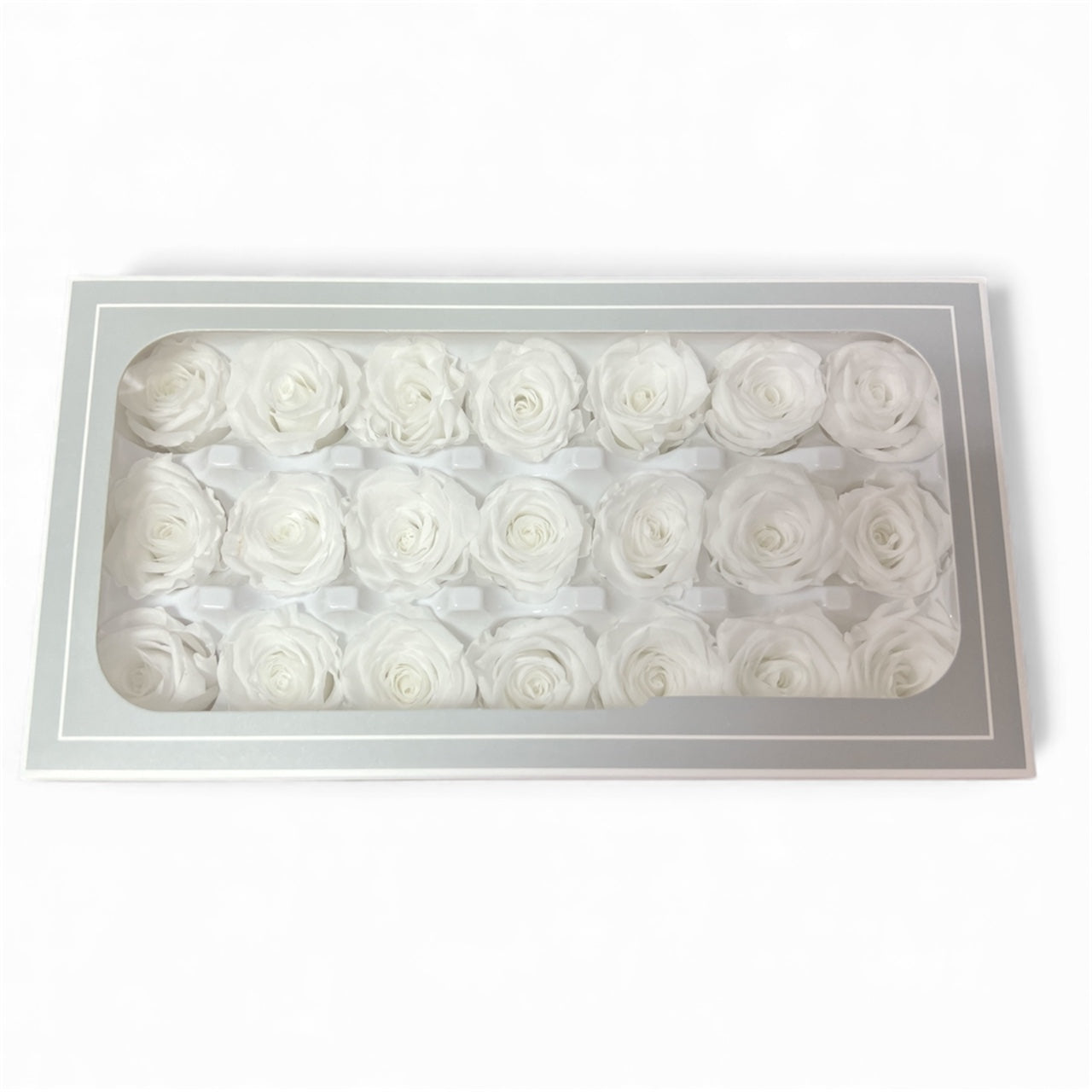 Trandafiri Criogenati 21/set