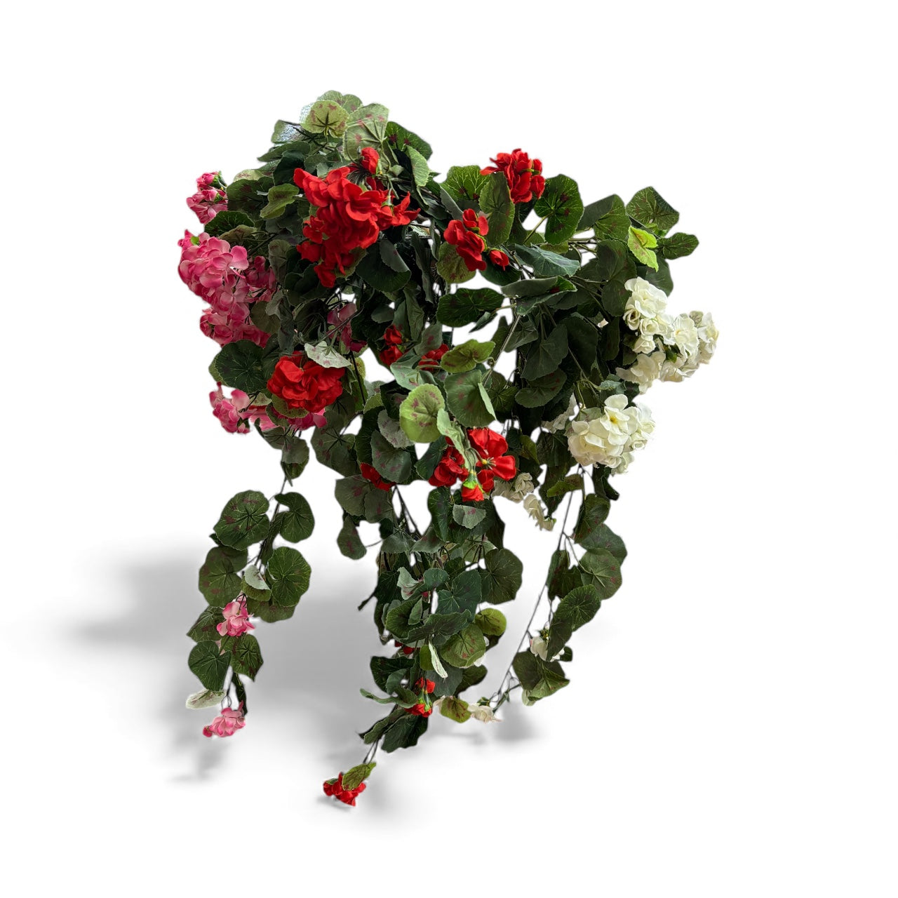 Photoroom_20251210_150819