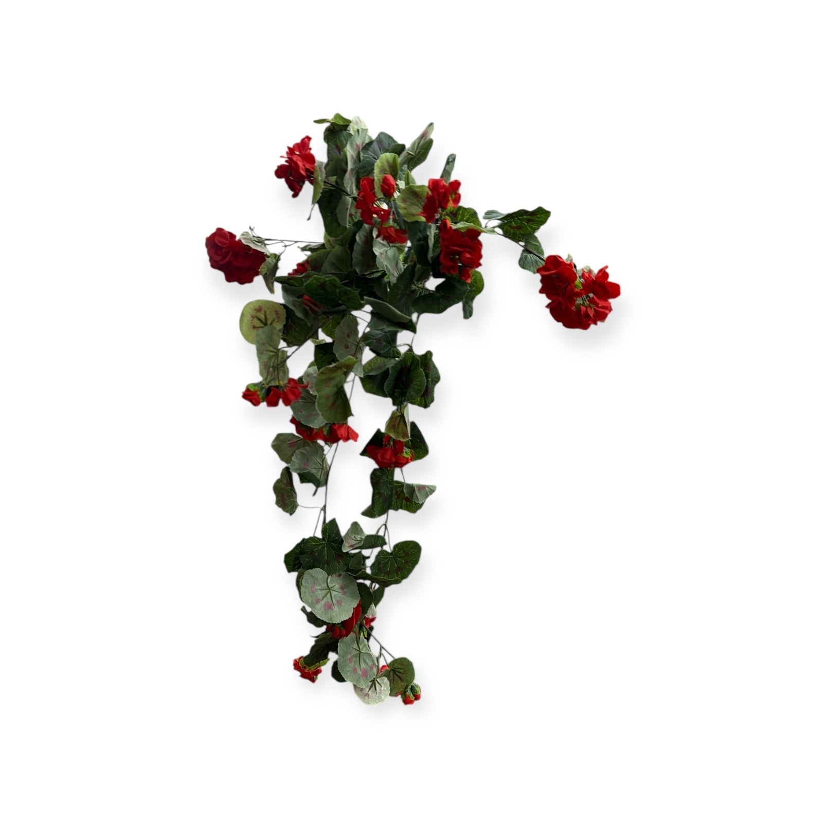 Photoroom_20251210_150957