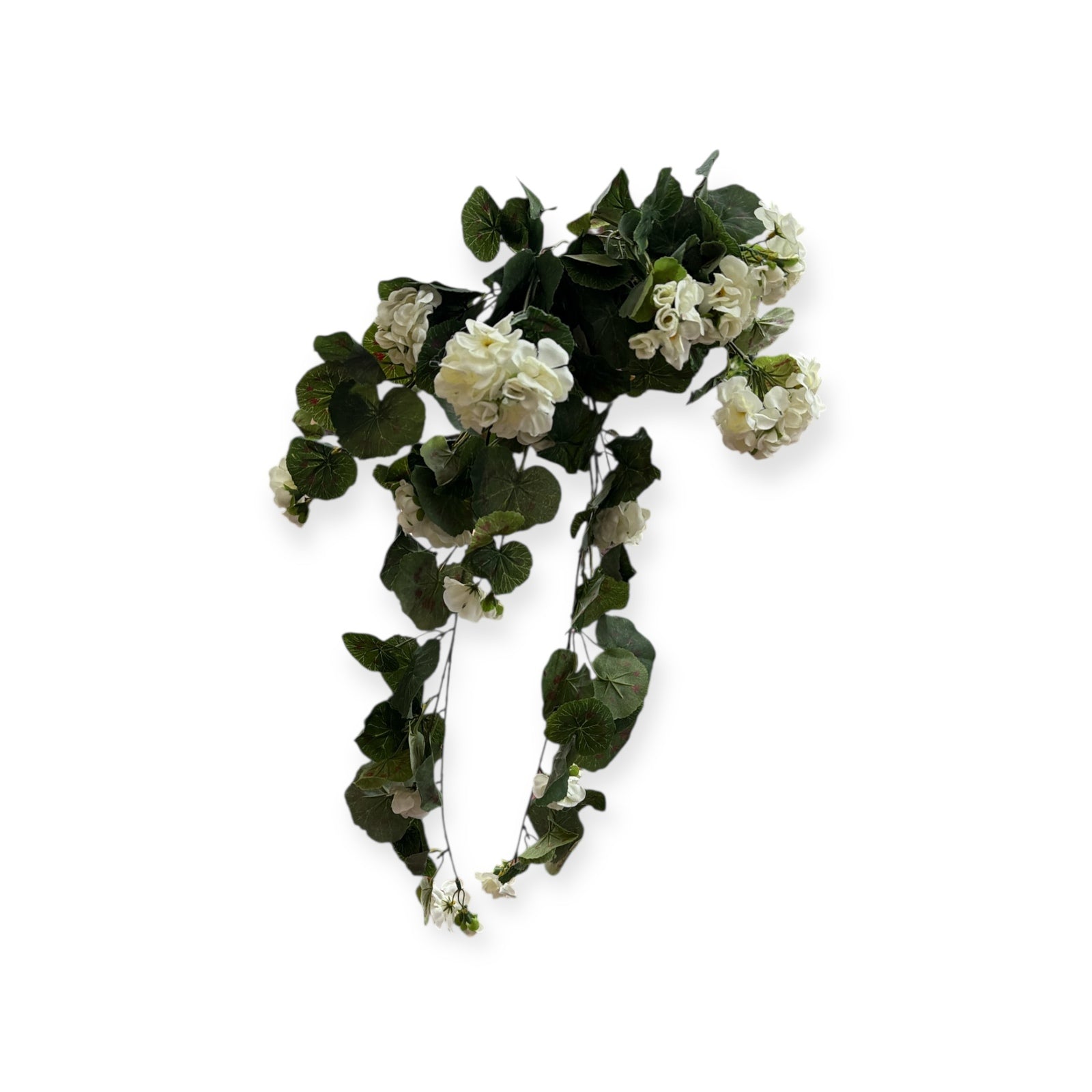 Photoroom_20251210_151046