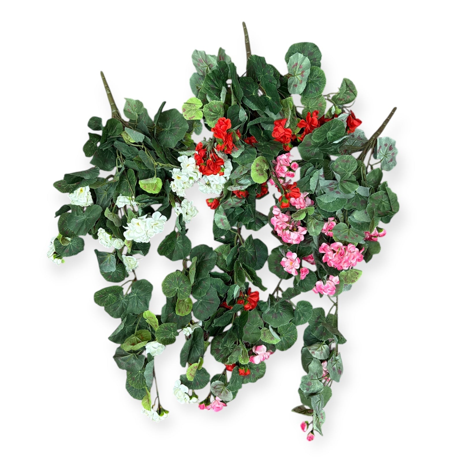 Photoroom_20251210_151440