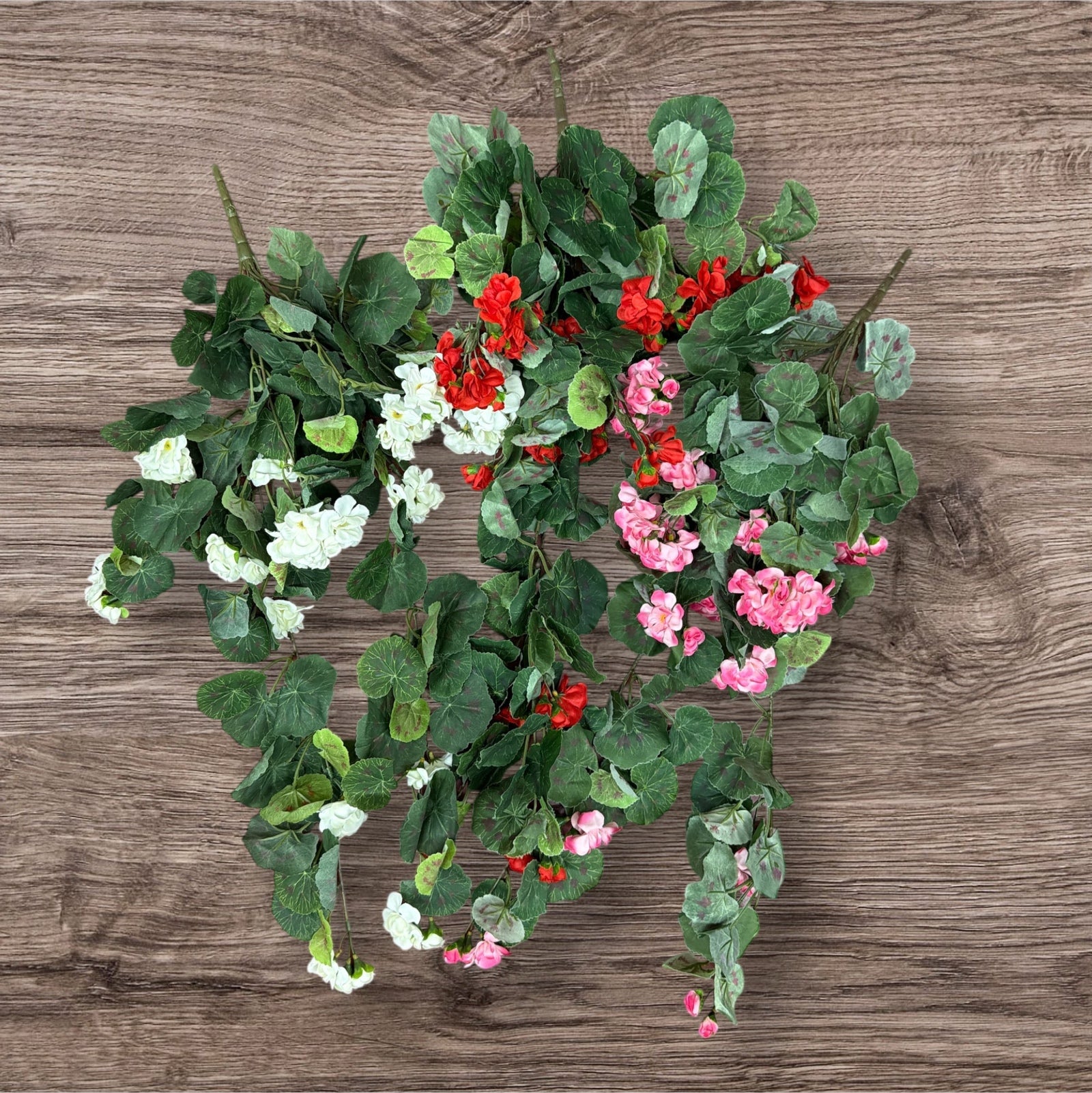 Photoroom_20251210_151454