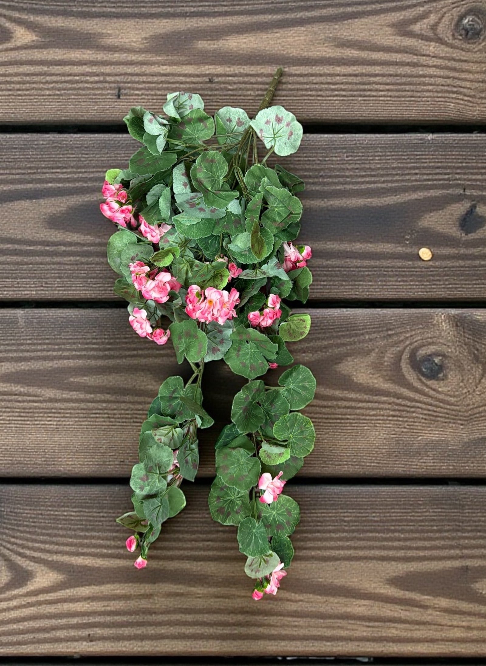 Photoroom_20251210_151613