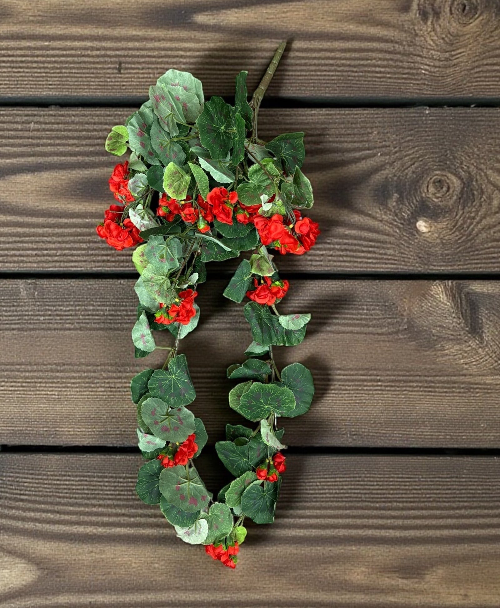 Photoroom_20251210_151917