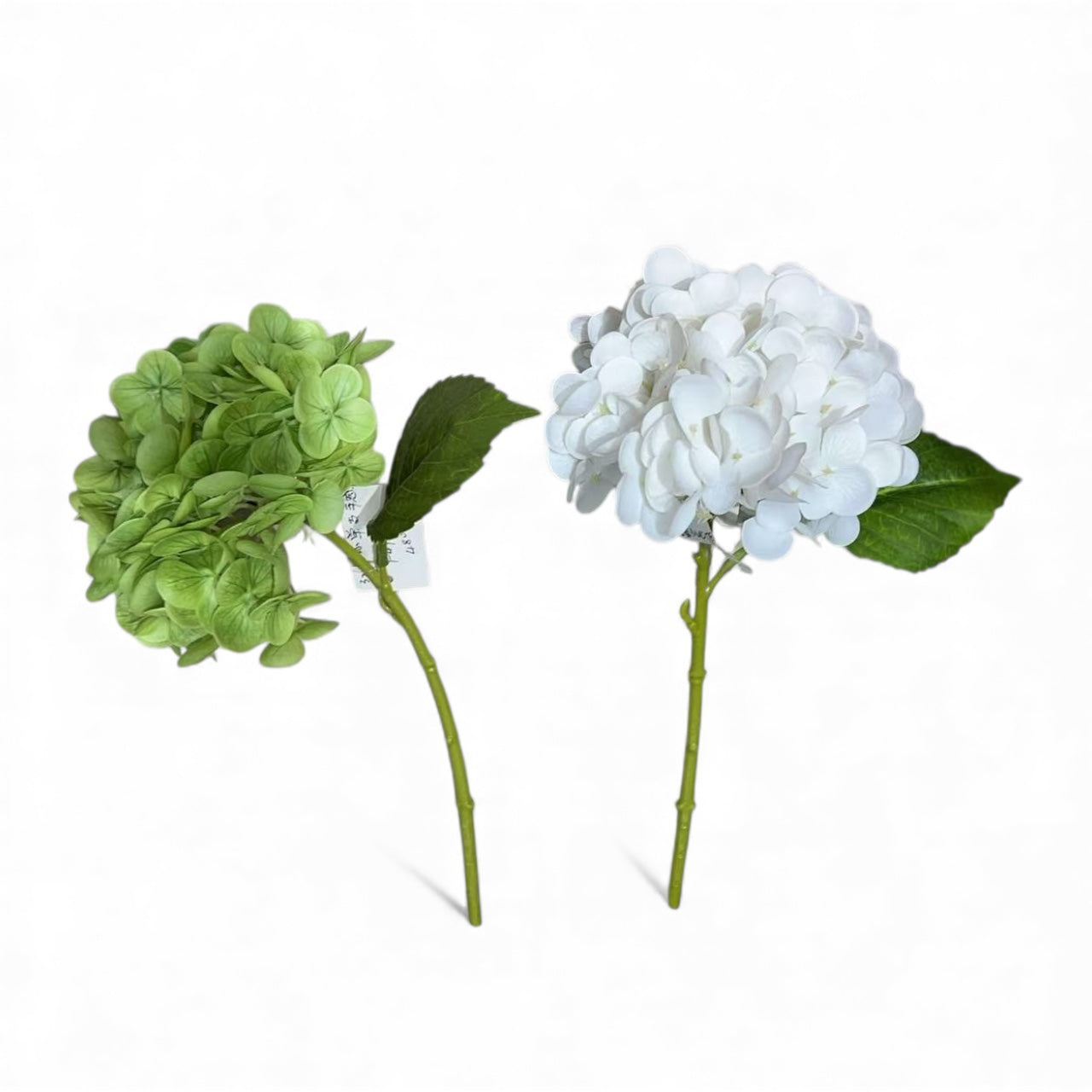 Photoroom_20251209_121712