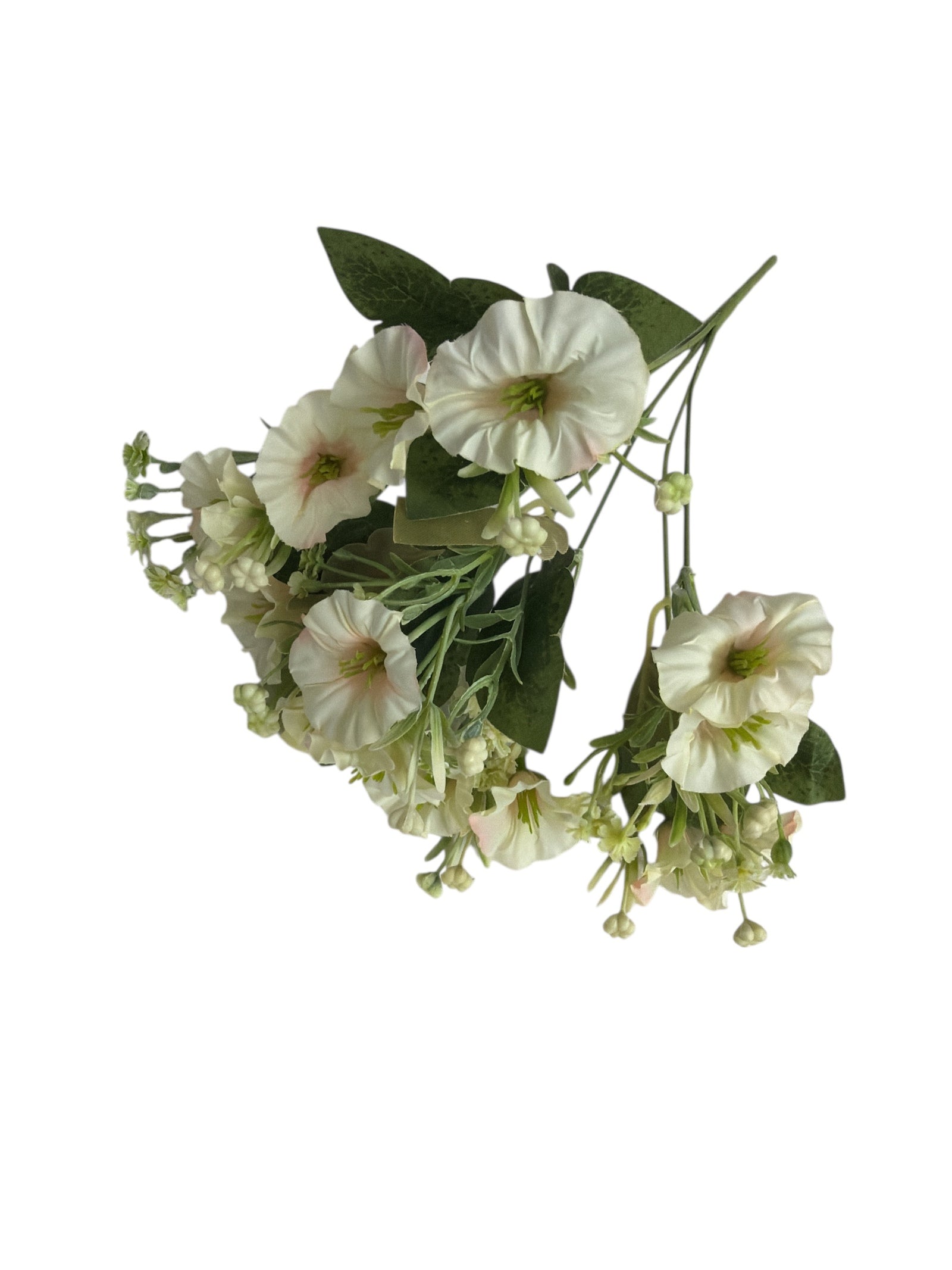 Photoroom_20251211_162343