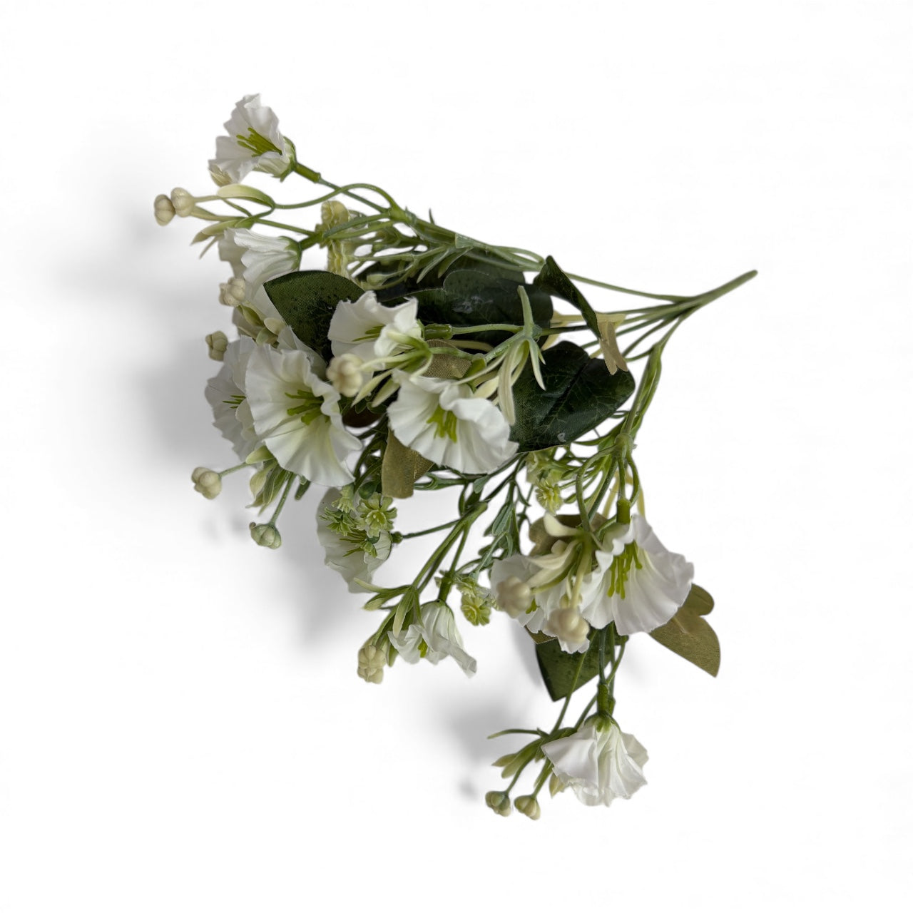 Photoroom_20251211_162454