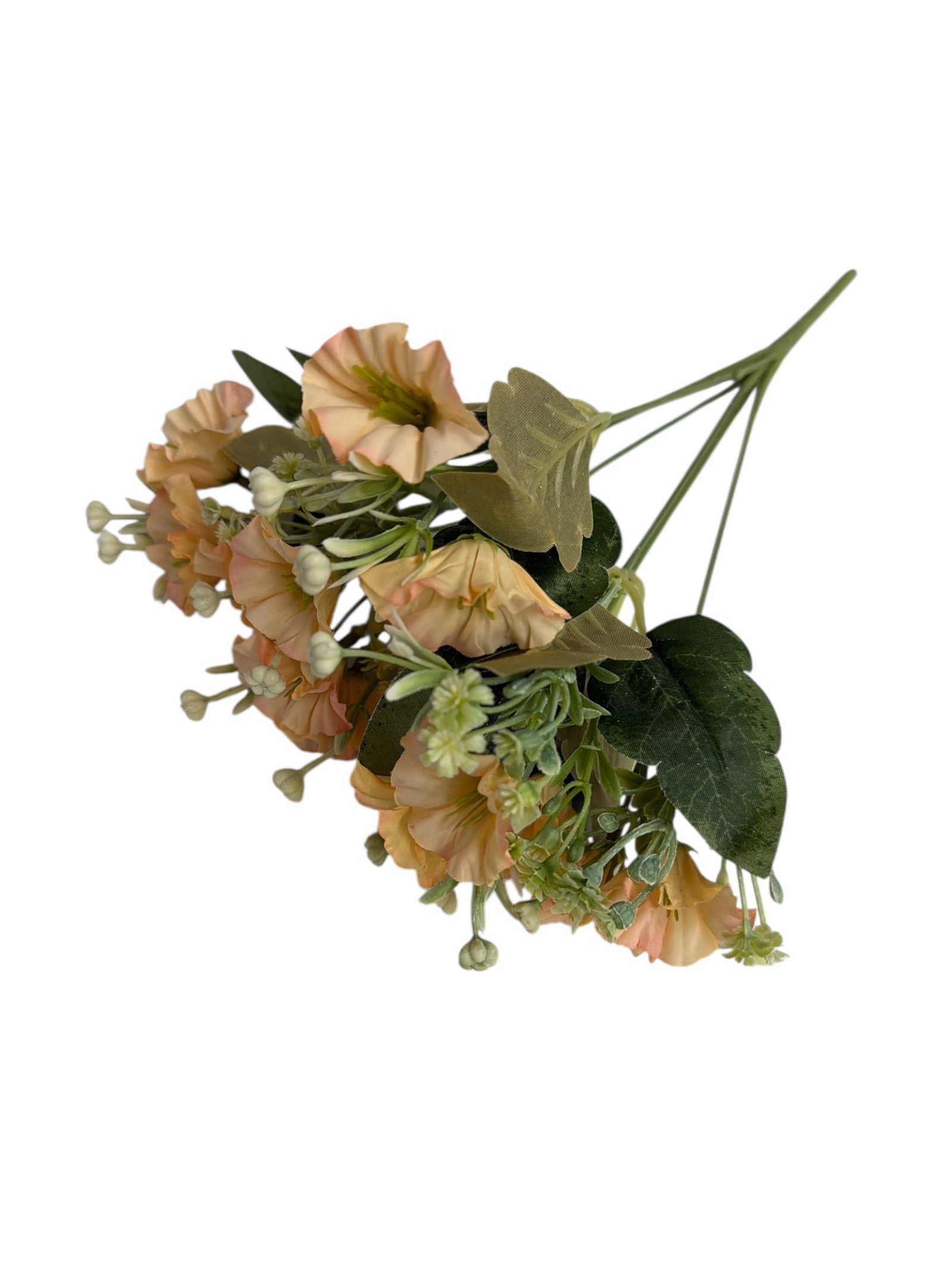 Photoroom_20251211_162524