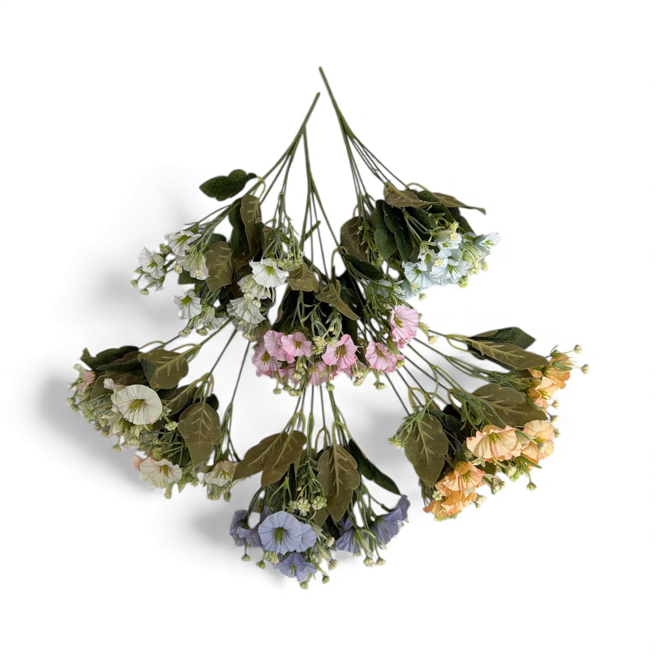 Photoroom_20251211_162757