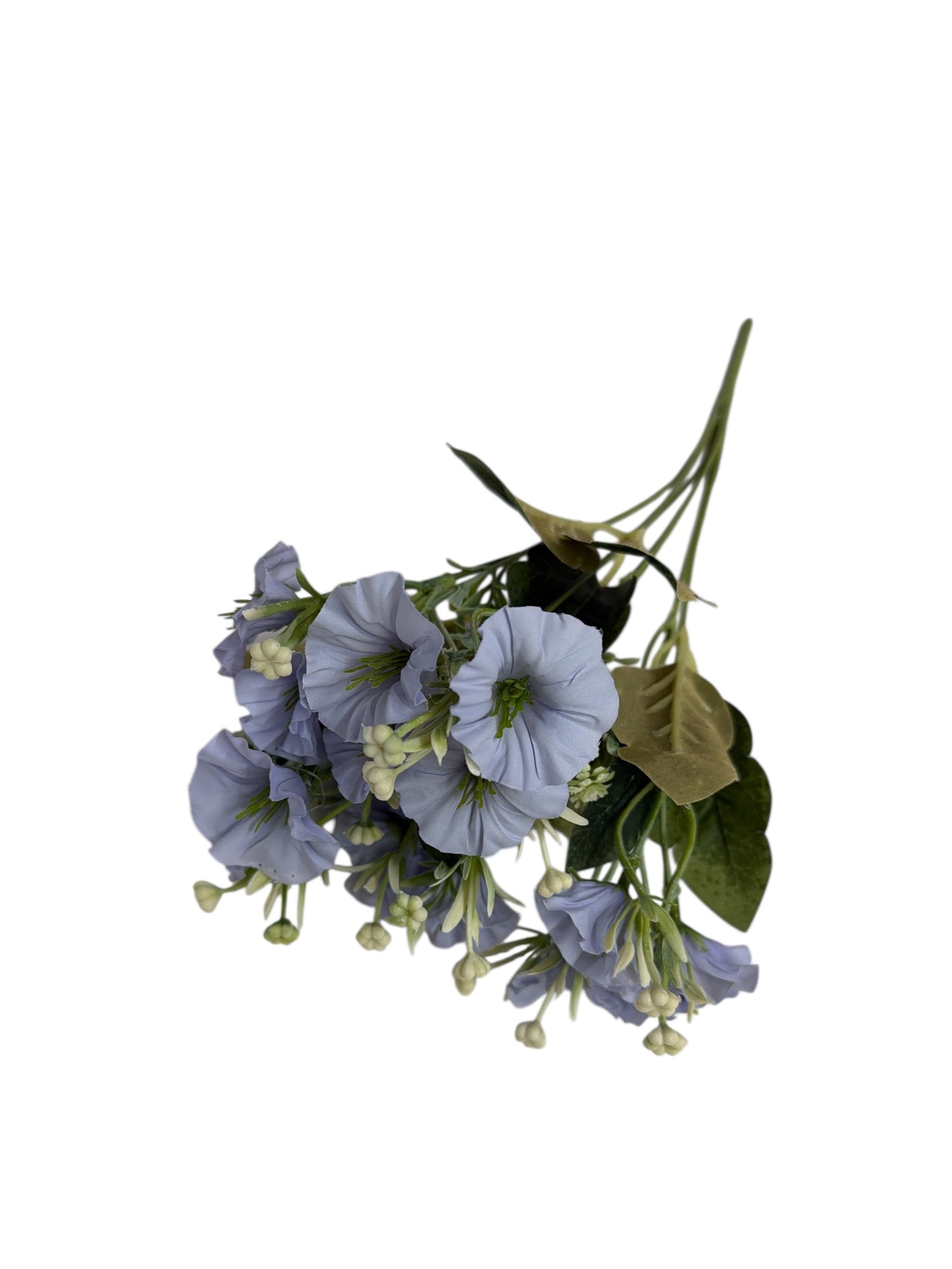 Photoroom_20251211_163021