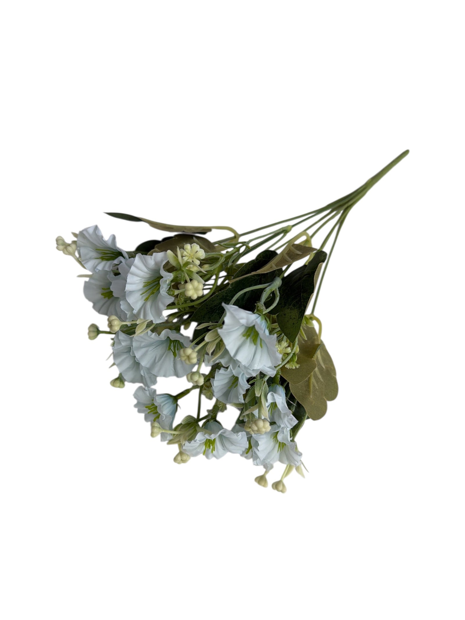 Photoroom_20251211_163110