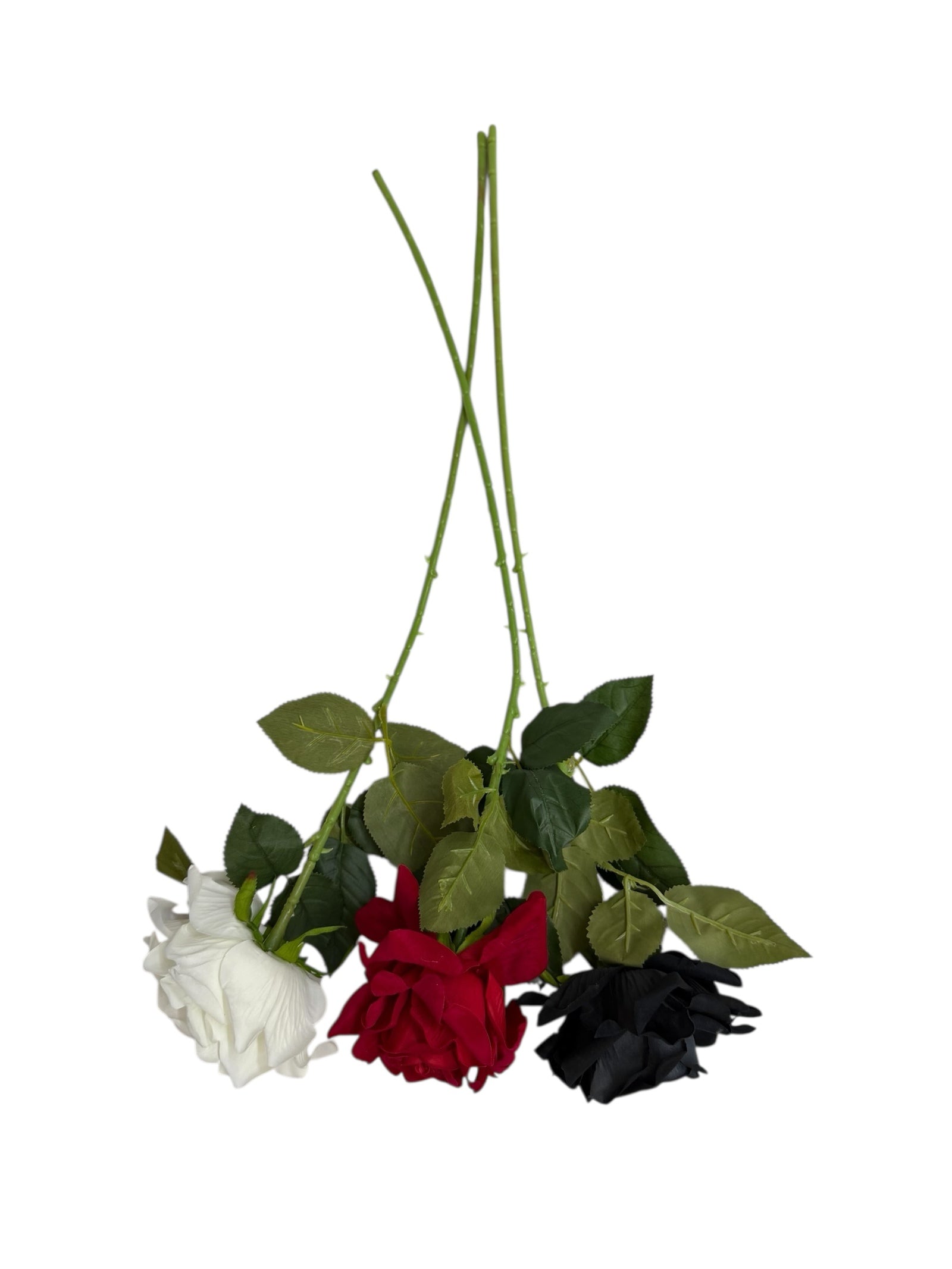 Photoroom_007_20251211_152835