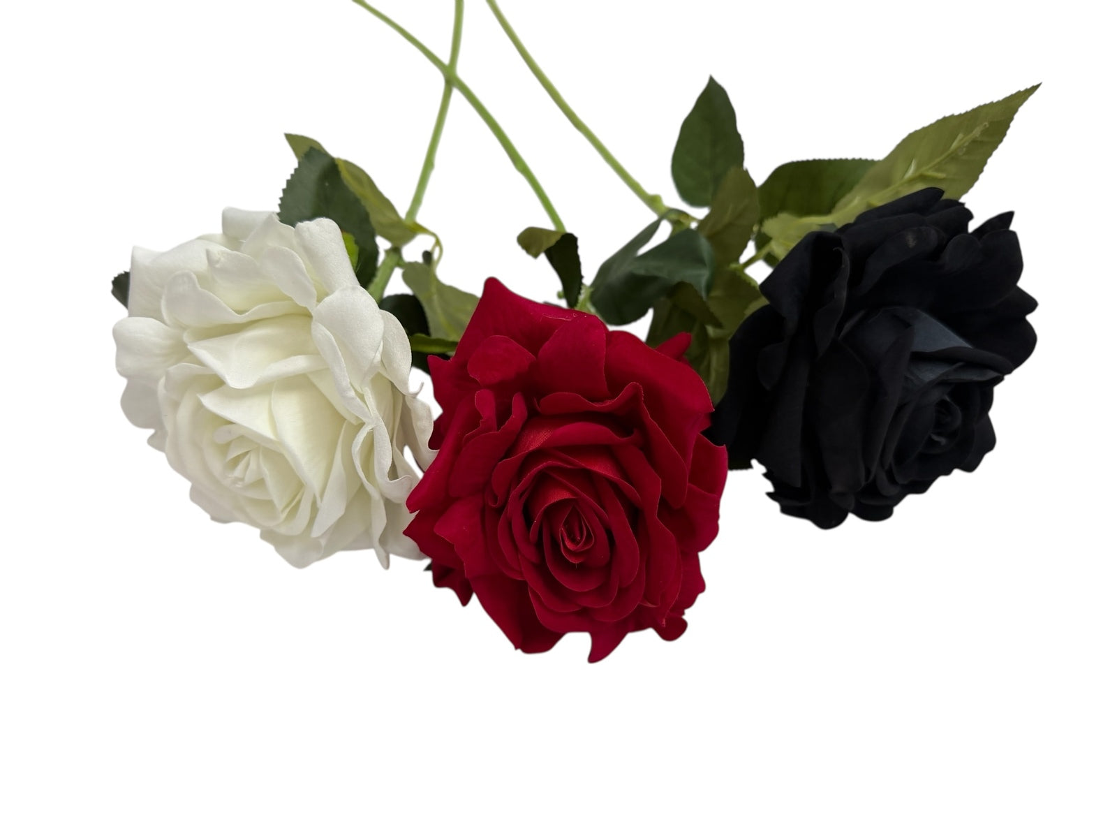 Photoroom_008_20251211_152835