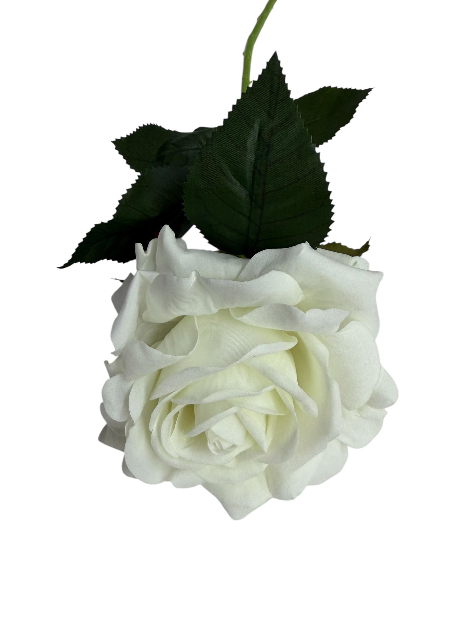 Photoroom_009_20251211_152835