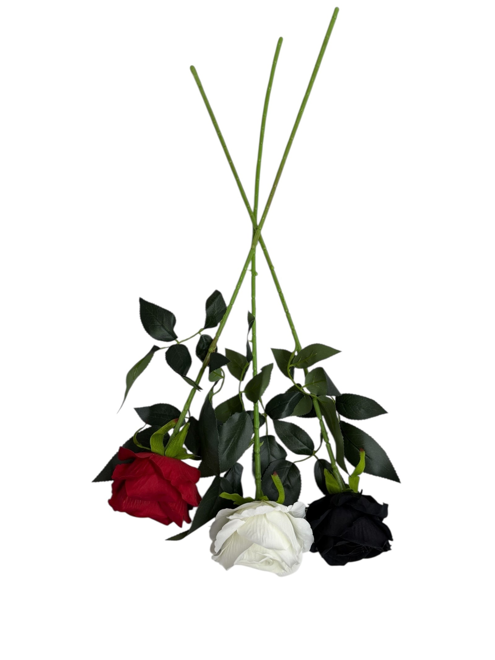 Photoroom_000_20251211_152835