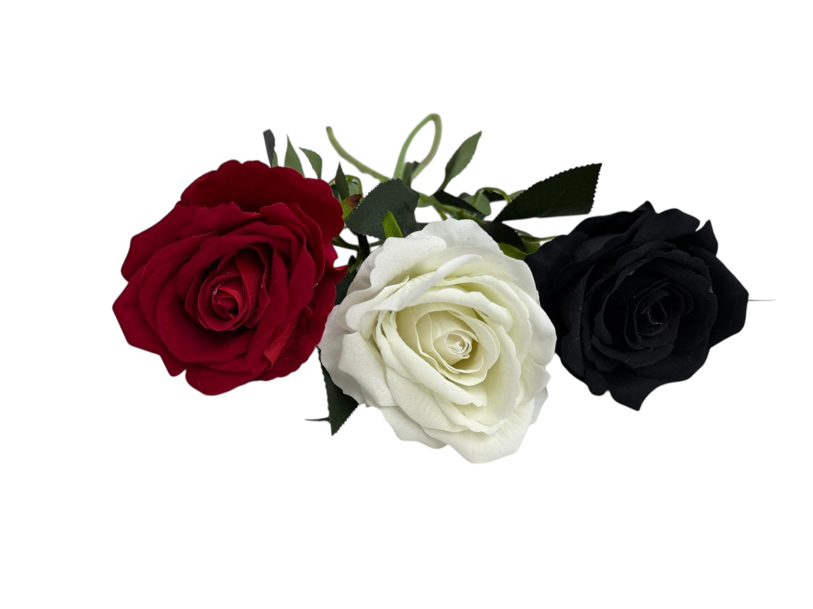 Photoroom_002_20251211_152835